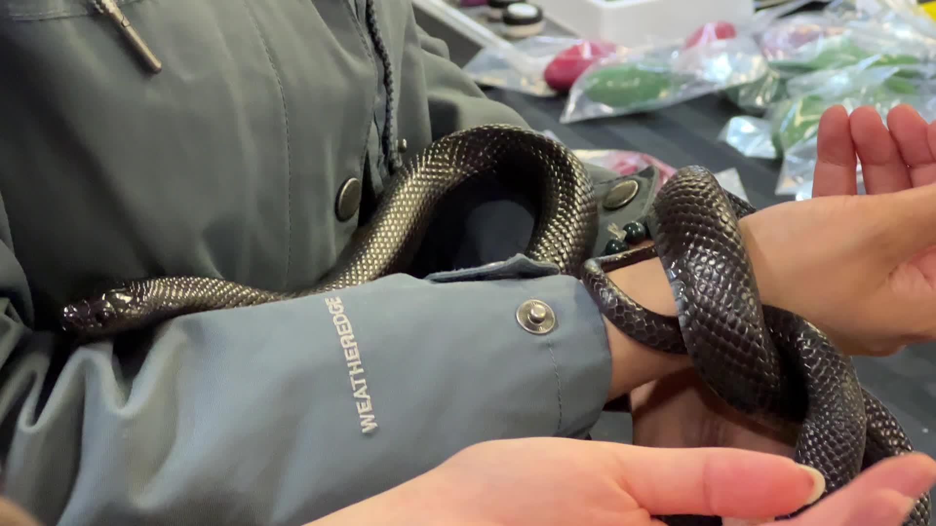 Exotic Reptile Breeders Expo in Canada