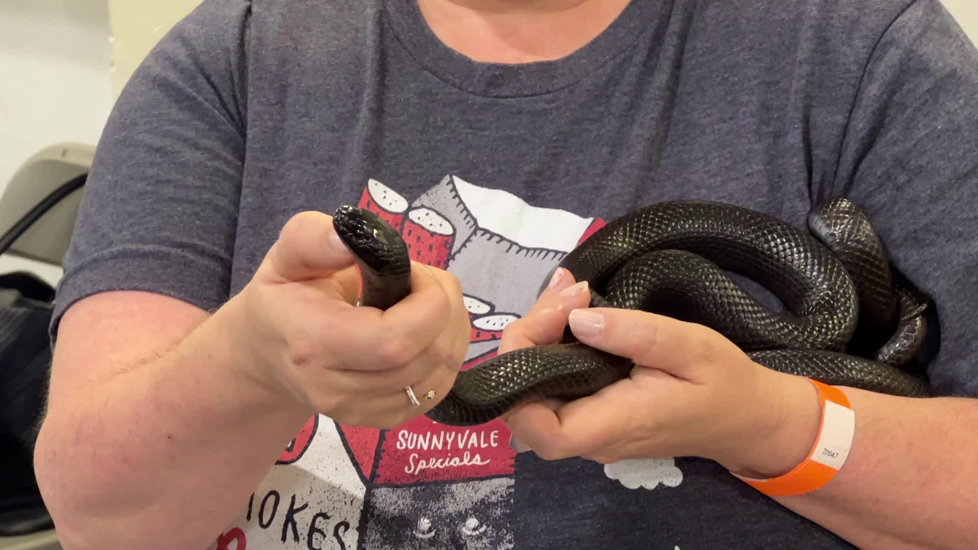 Exotic Reptile Breeders Expo in Canada