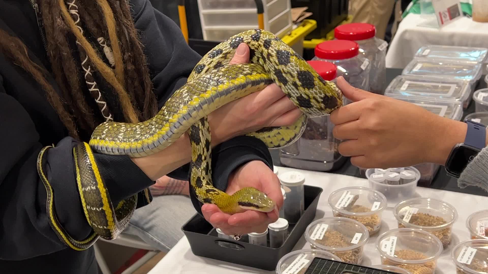 Exotic Reptile Breeders Expo in Canada