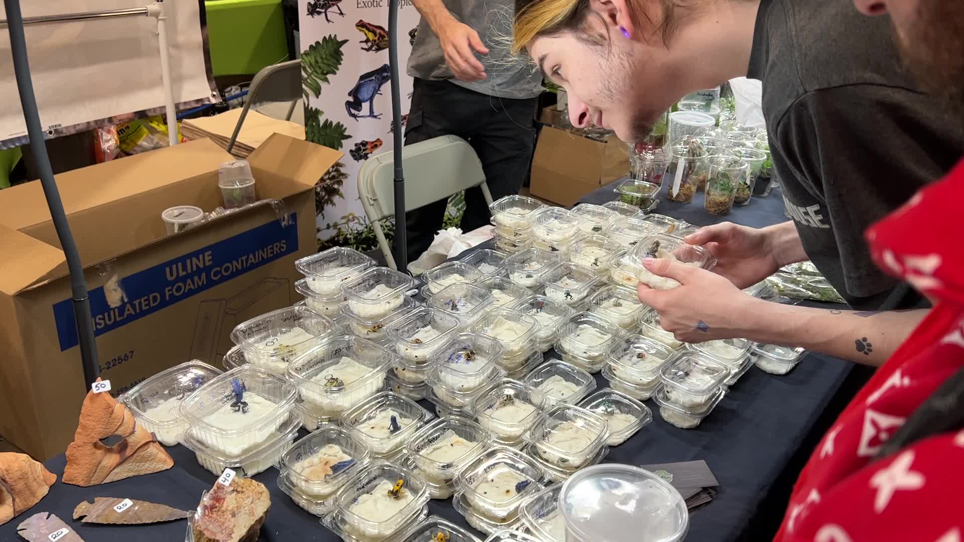 Exotic Reptile Breeders Expo