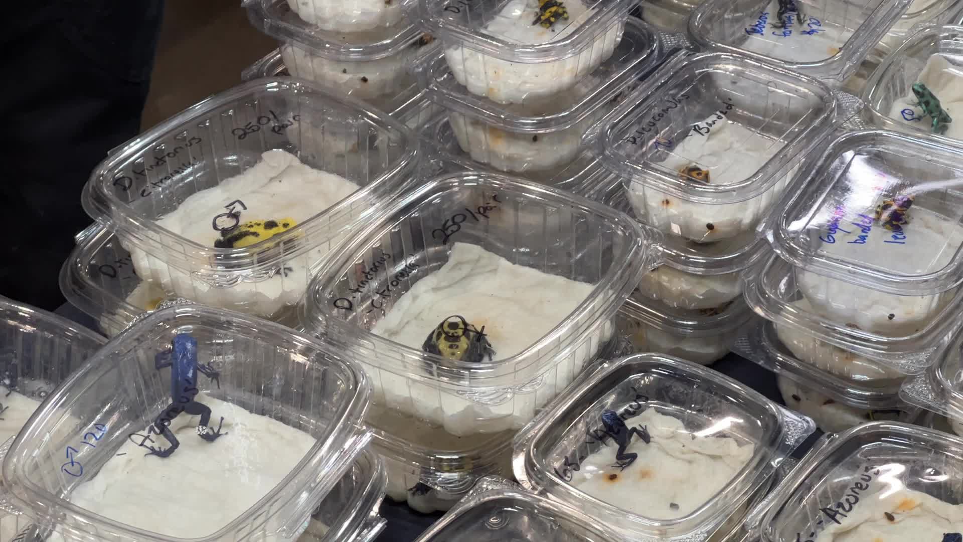Exotic Reptile Breeders Expo