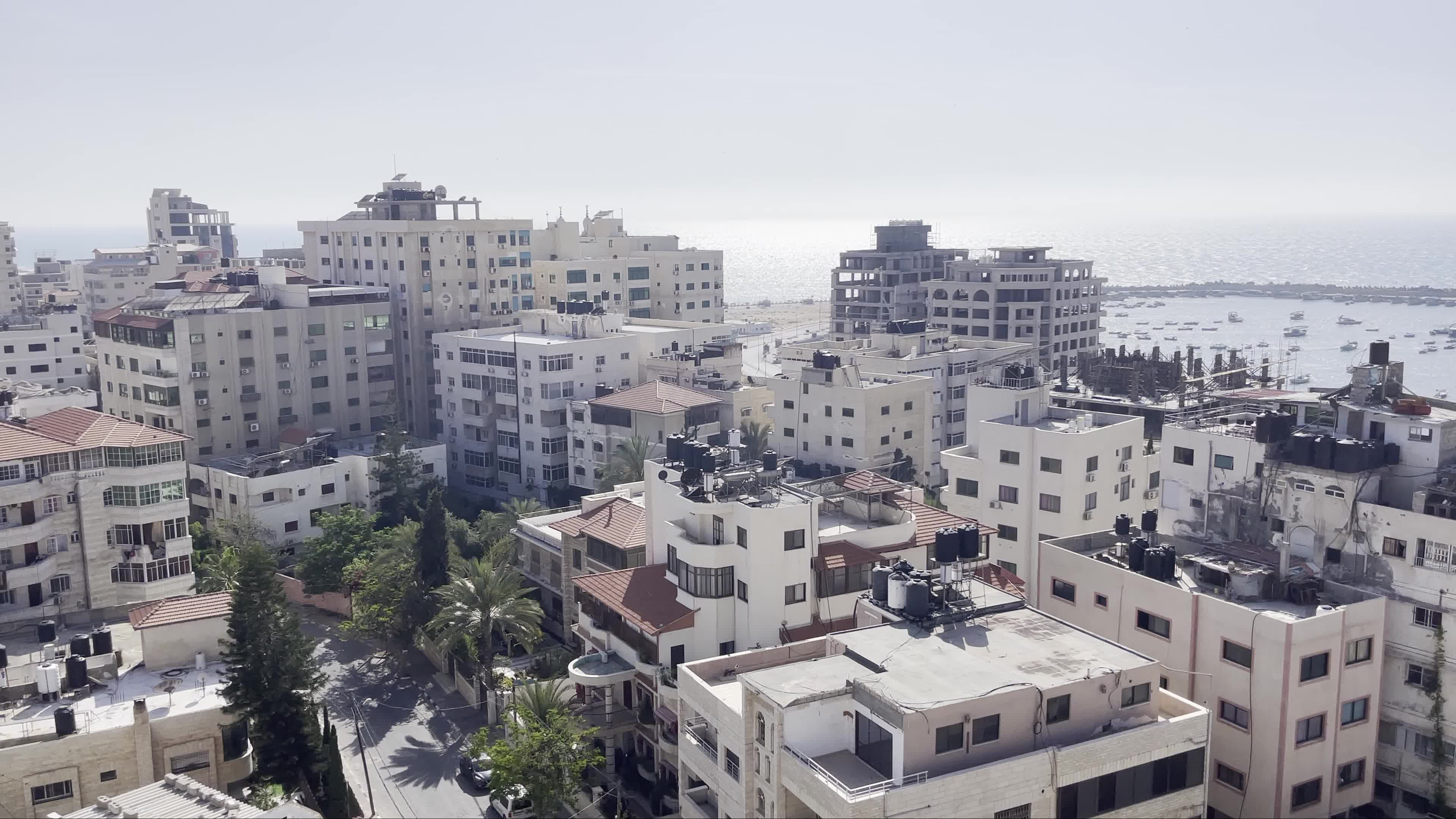 Palestine Israel Conflict