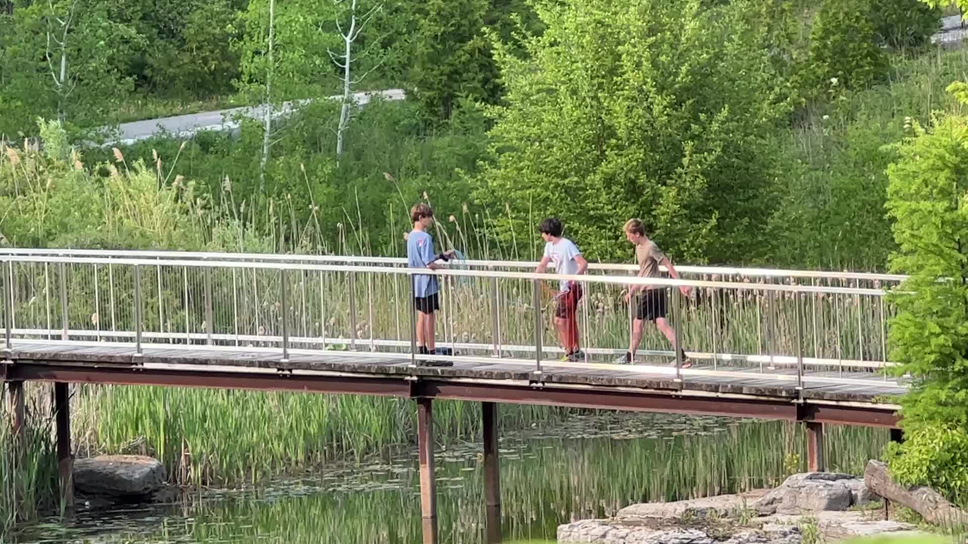 Youth catching invasive goldfish