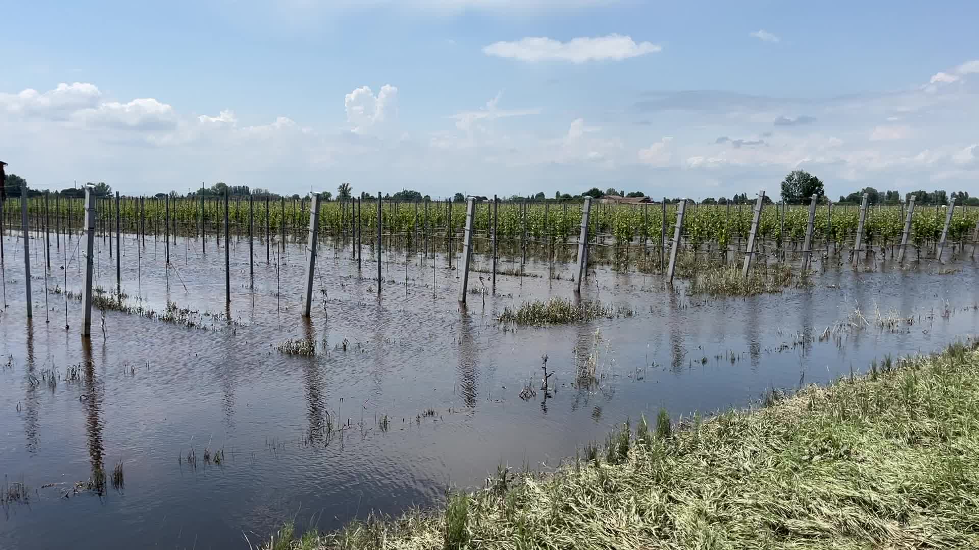 Flood damages in Conselice in Emilia Romagna