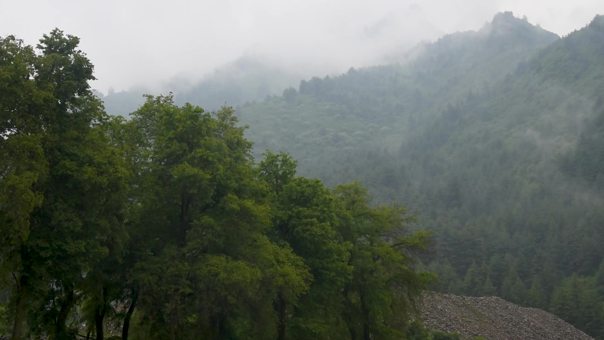 Rains in Srinagar, India.