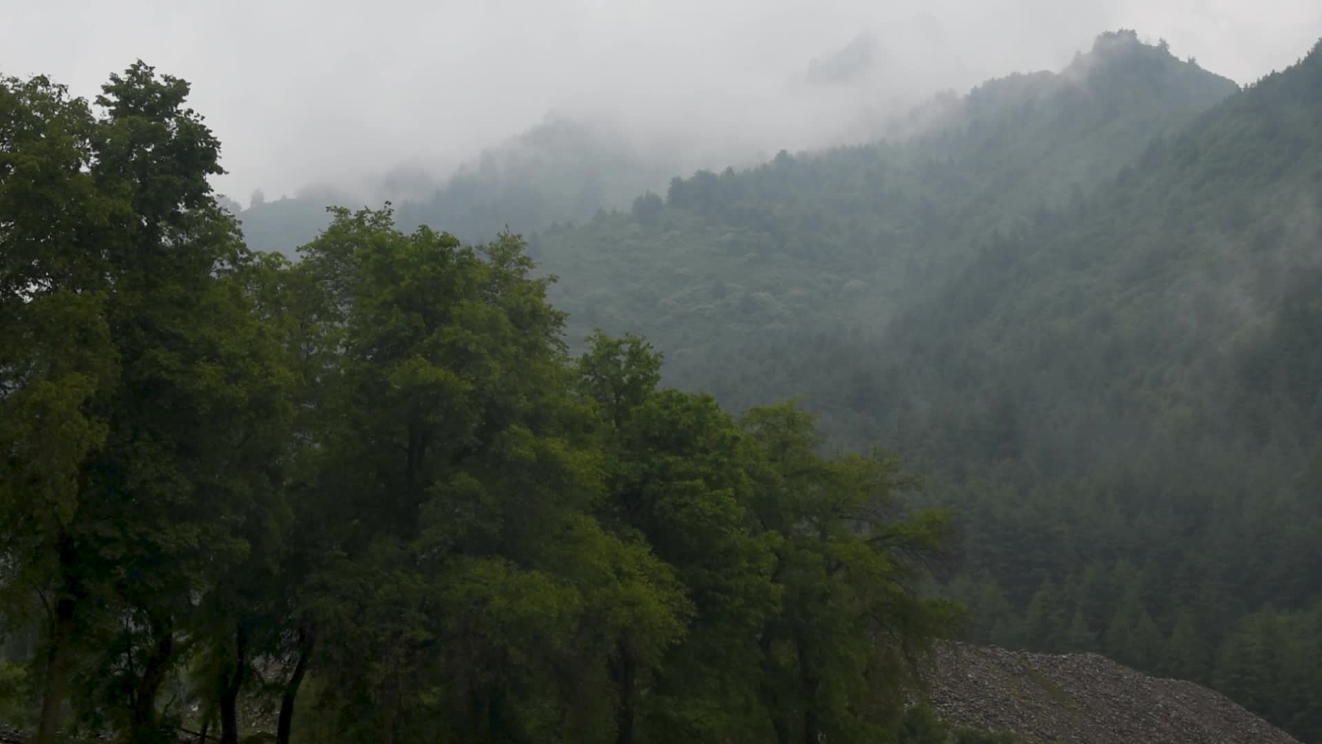 Rains in Srinagar, India.