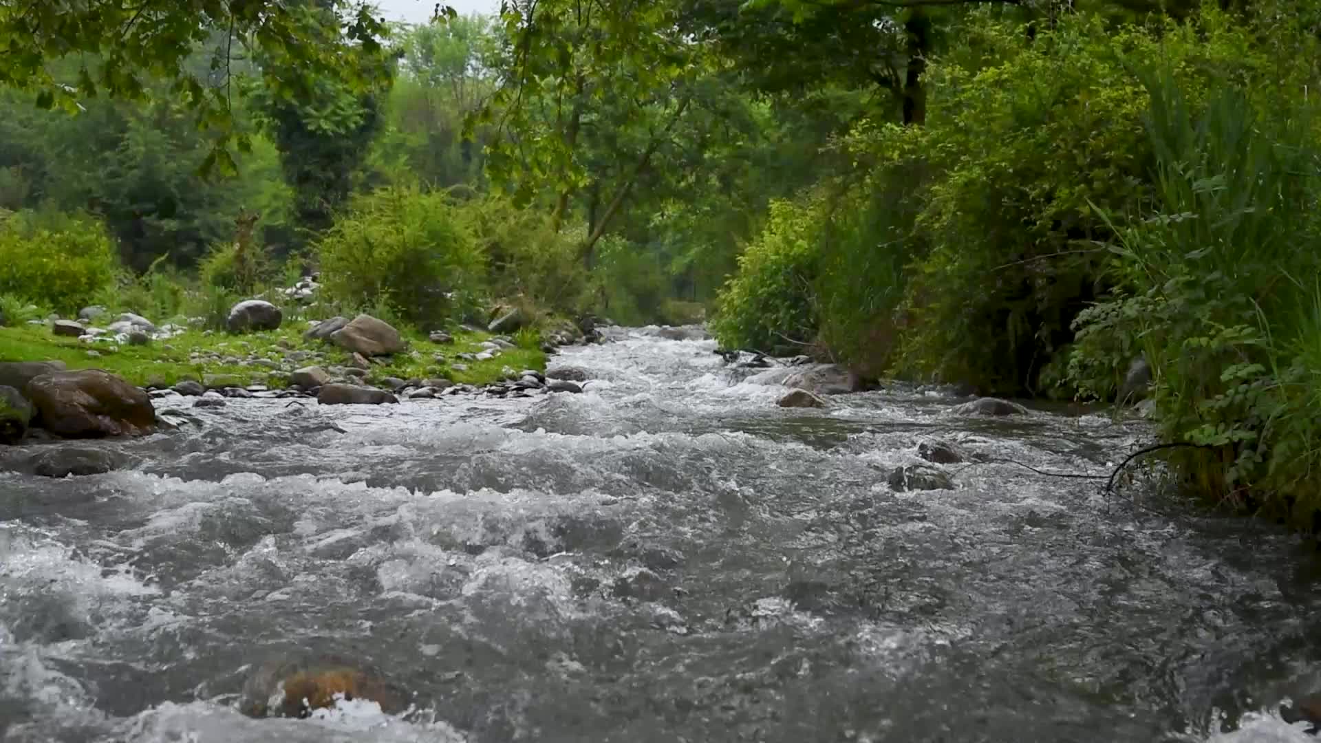 Rains in Srinagar, India.