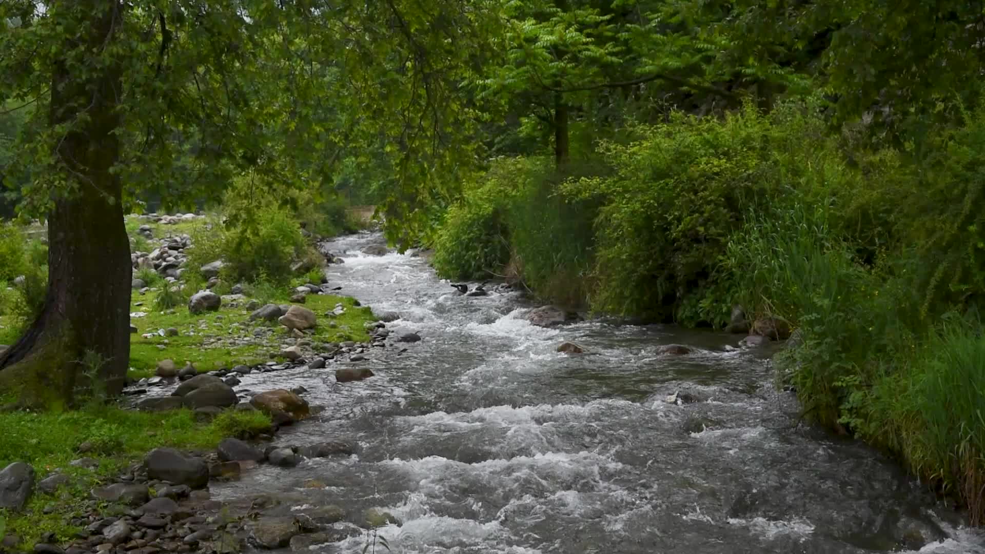 Rains in Srinagar, India.
