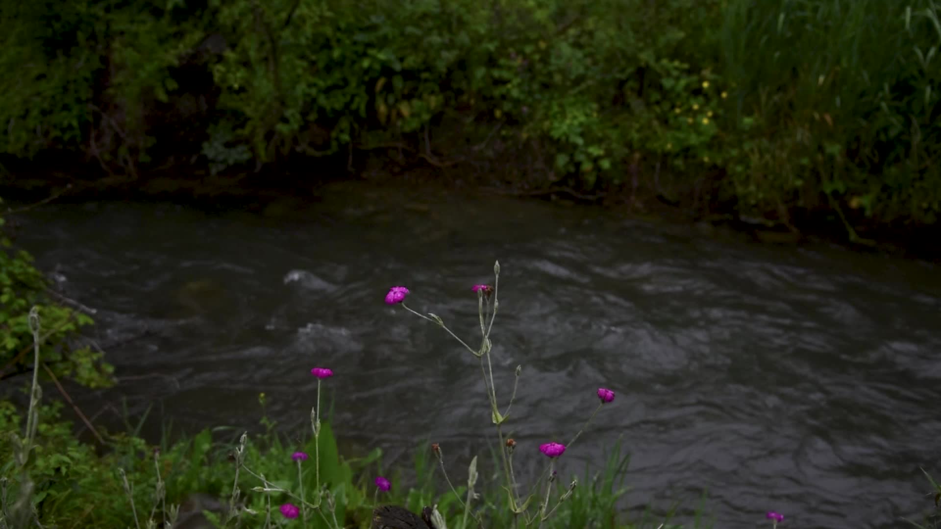 Rains in Srinagar, India.