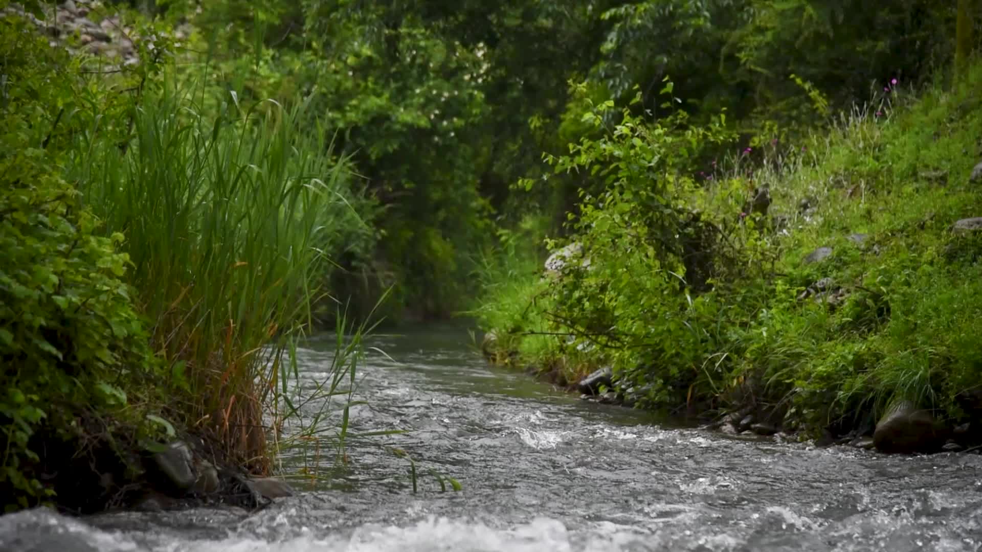Rains in Srinagar, India.