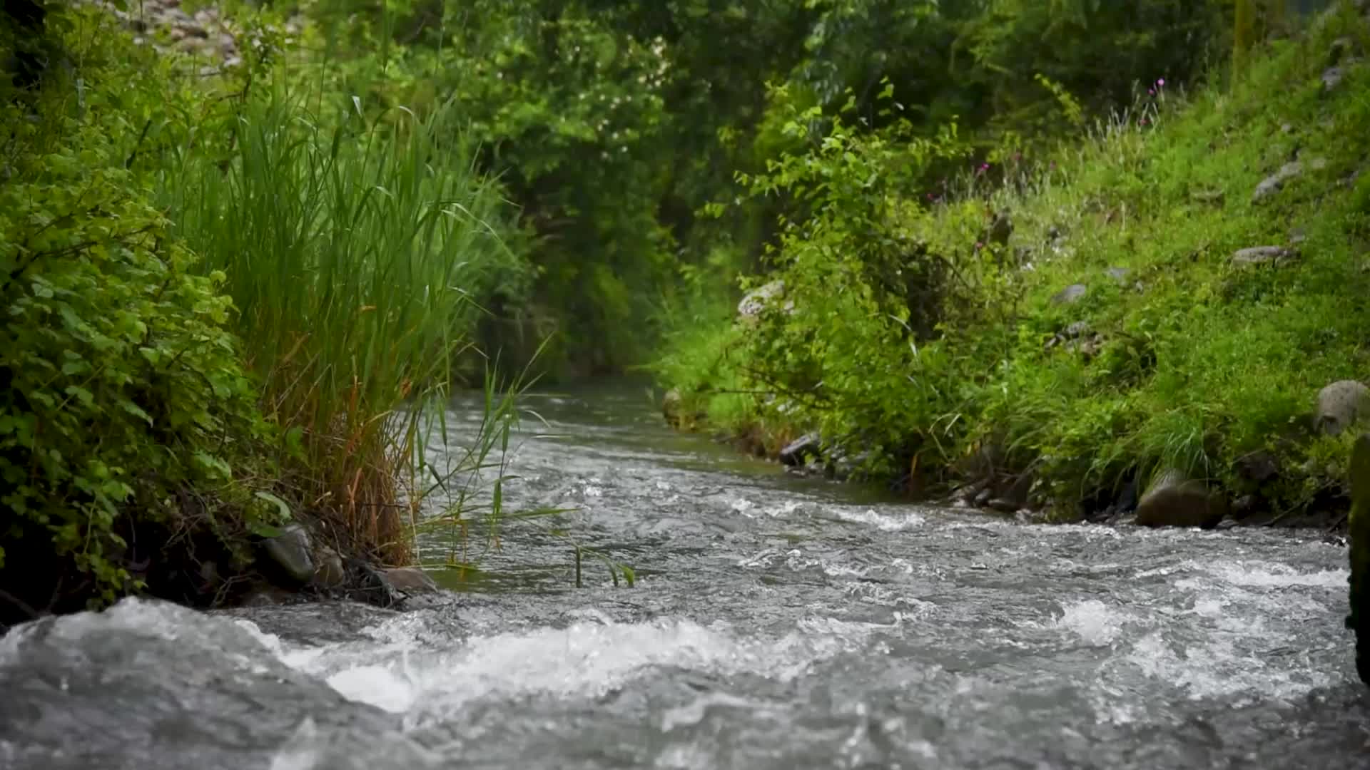 Rains in Srinagar, India.