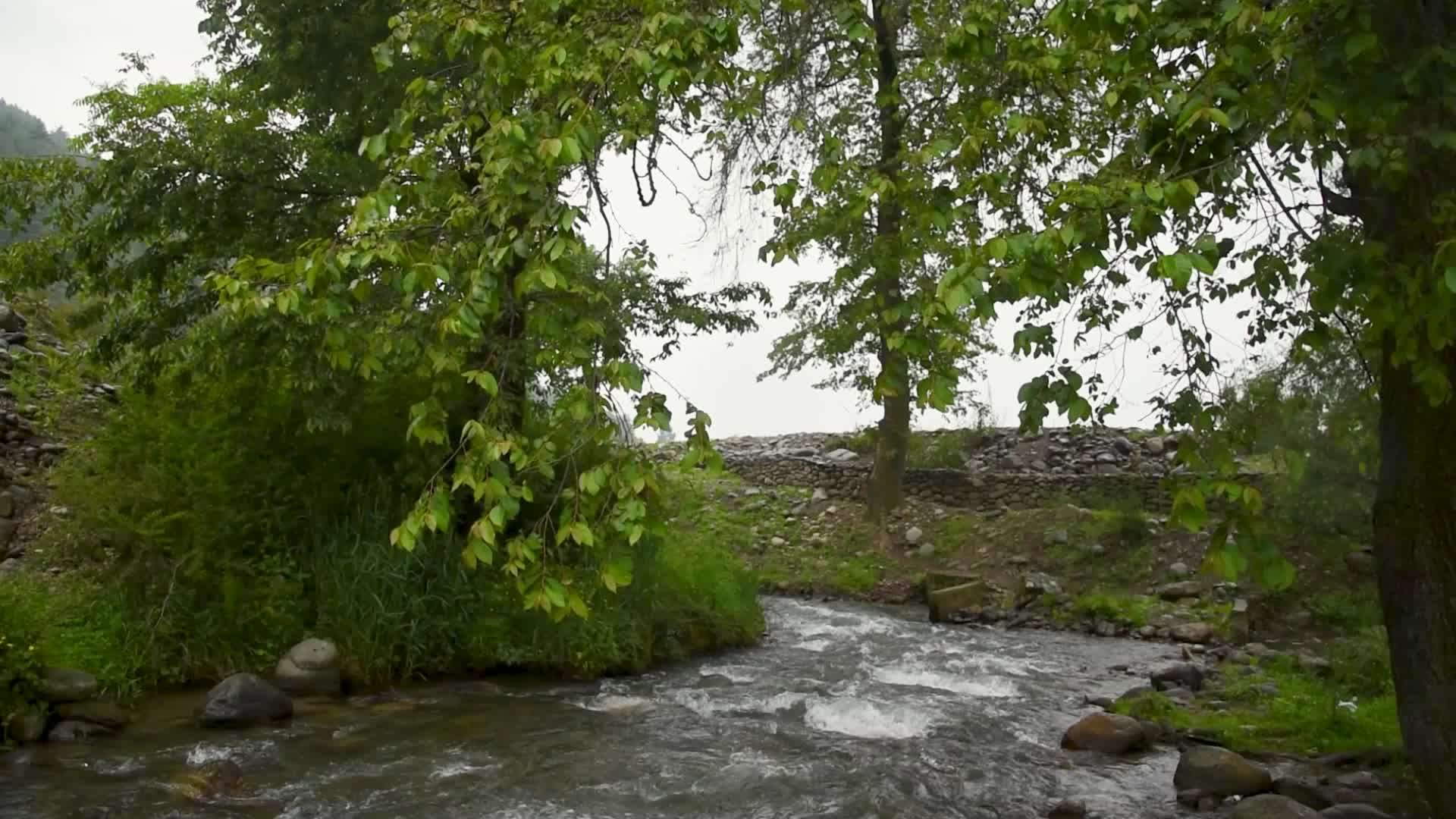 Rains in Srinagar, India.