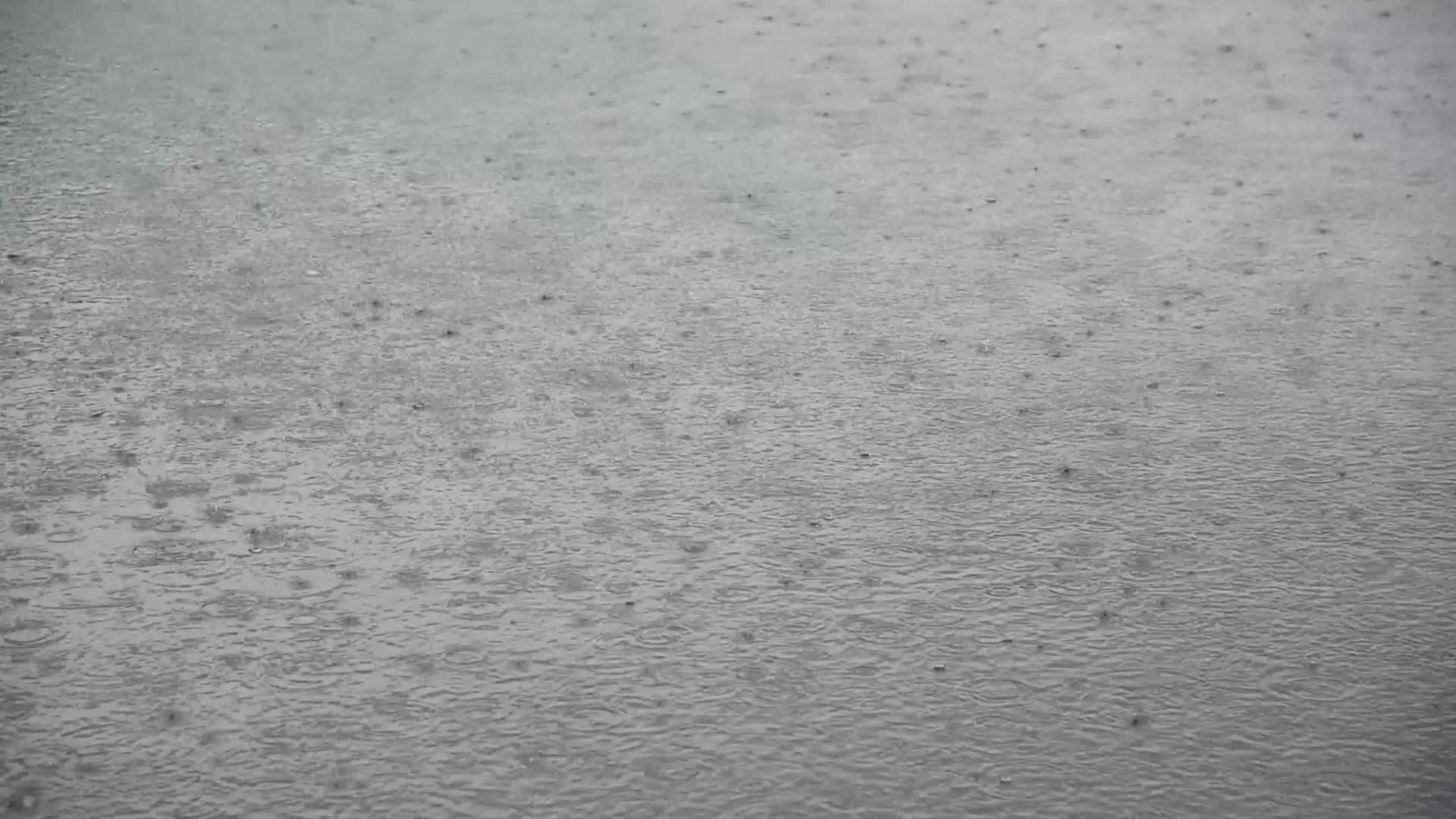 Rains in Srinagar, India.