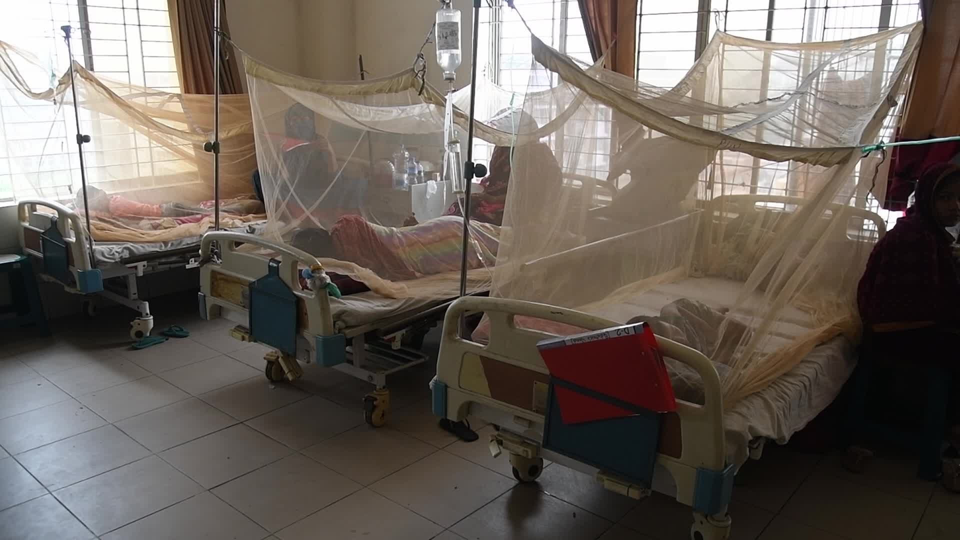 Dengue Outbreaks in Dhaka