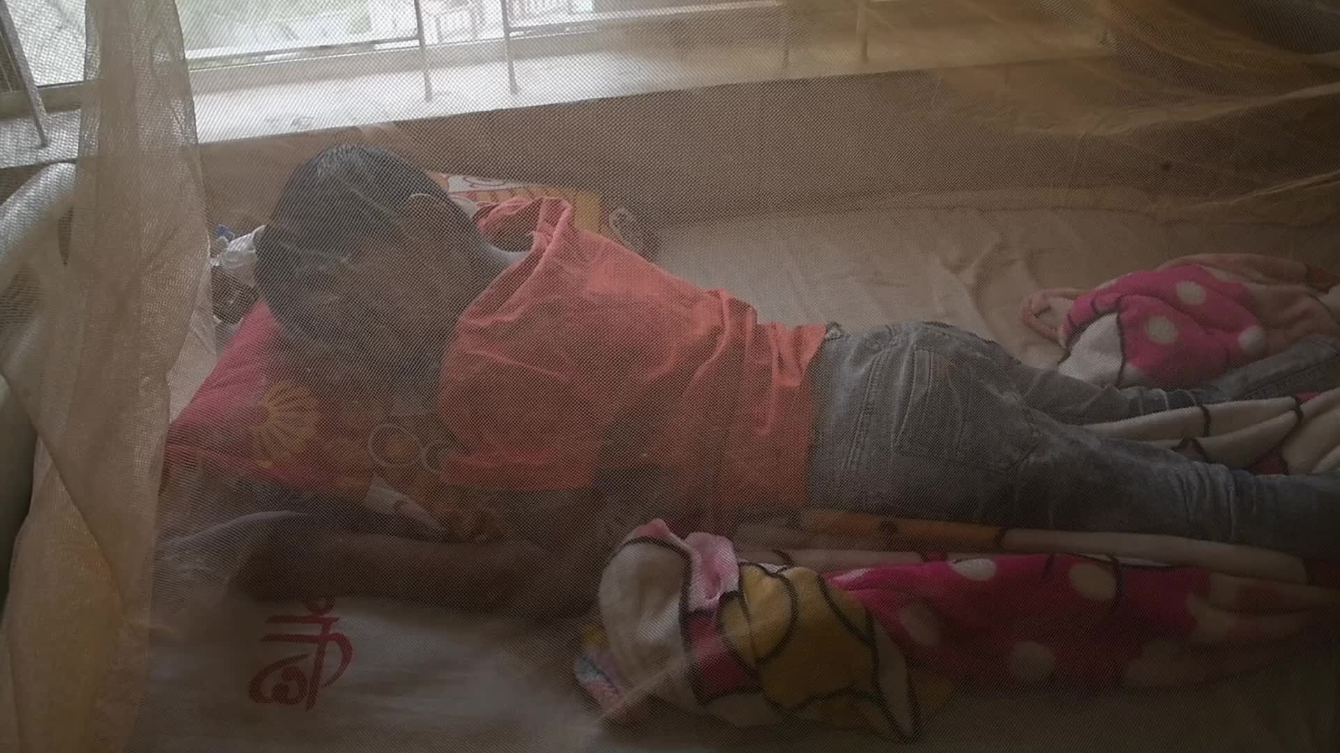 Dengue Outbreaks in Dhaka