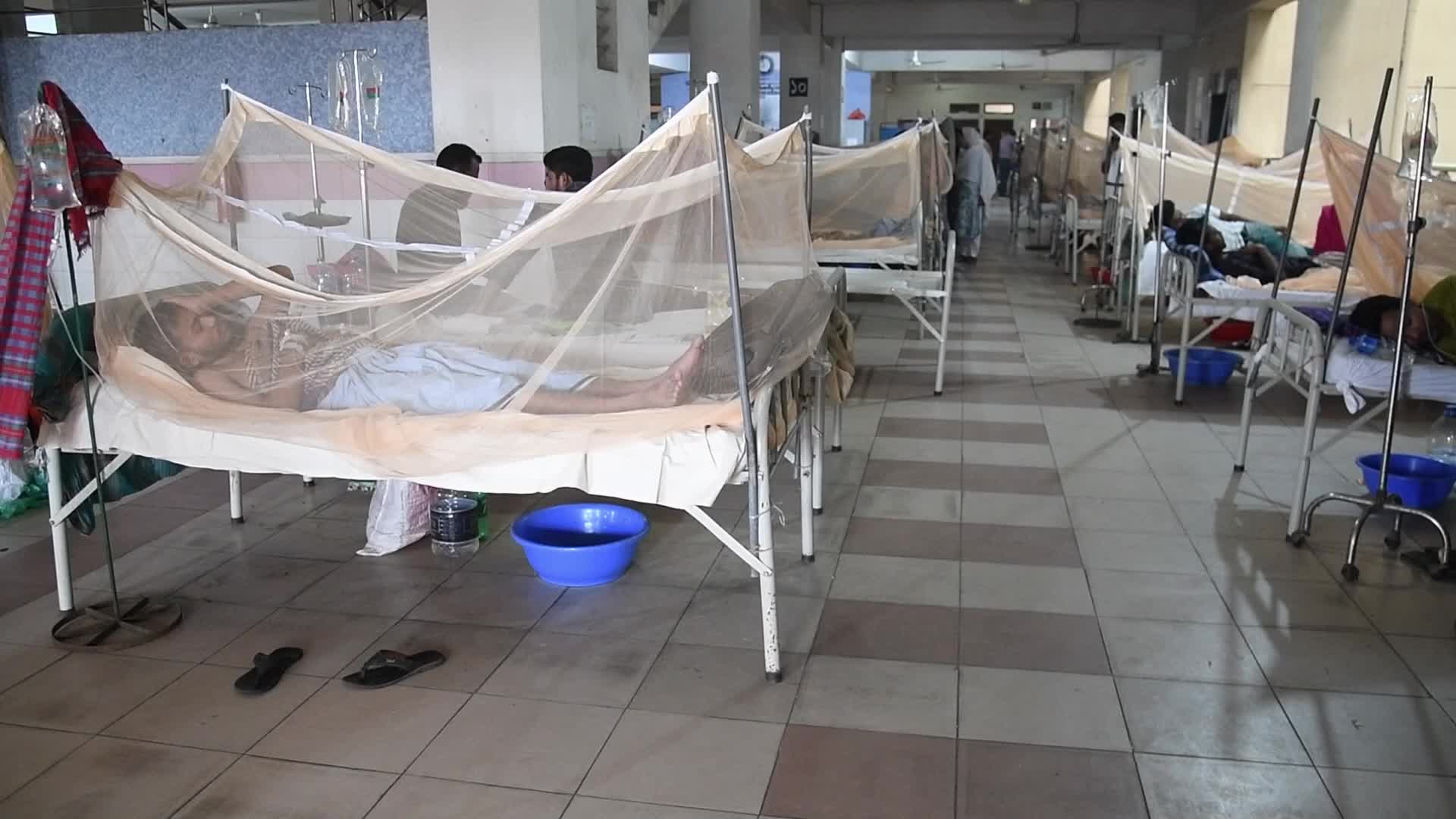 Dengue Outbreaks in Dhaka