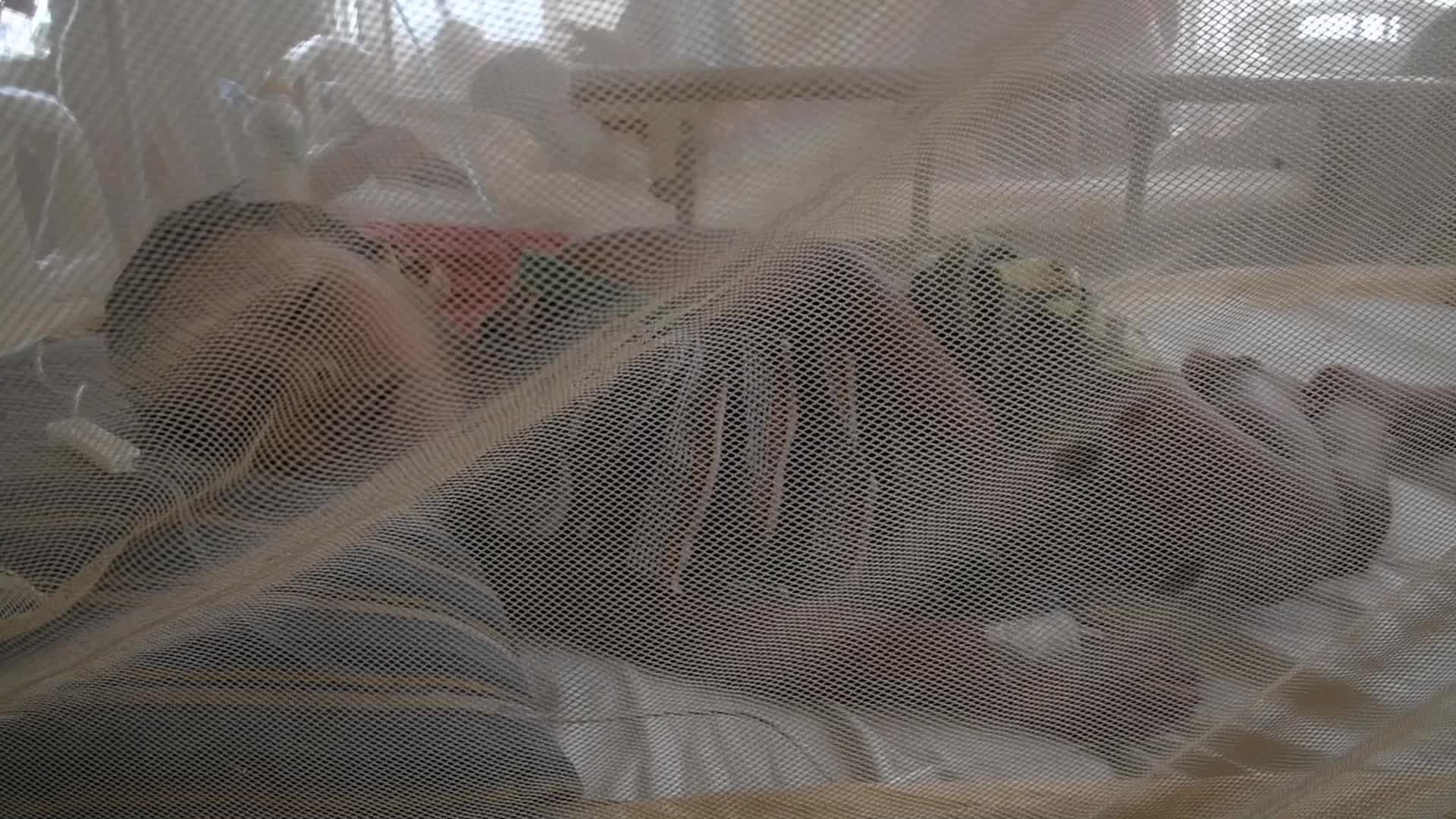Dengue Outbreaks in Dhaka