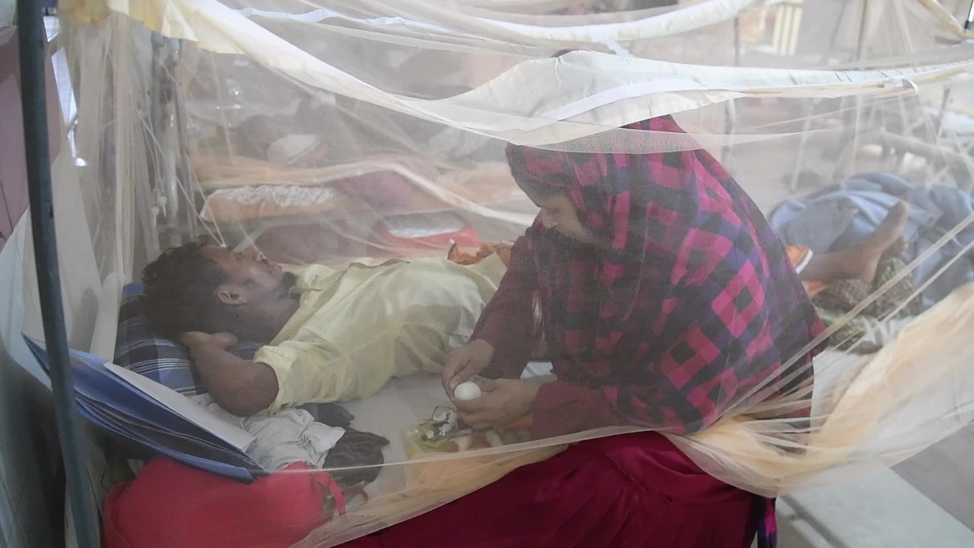 Dengue Outbreaks in Dhaka