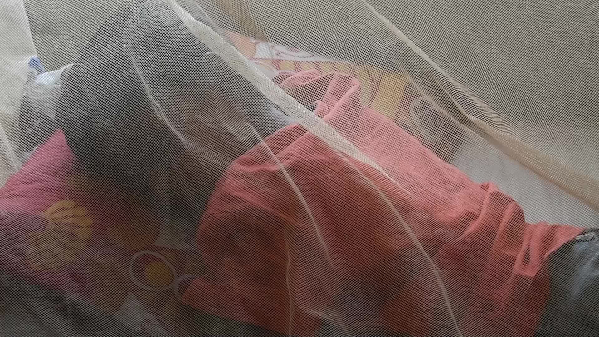 Dengue Outbreaks in Dhaka