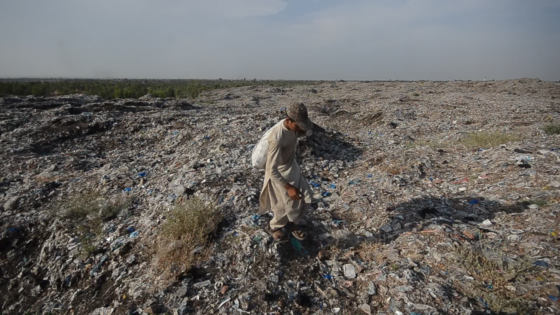 World Environment Day in Pakistan
