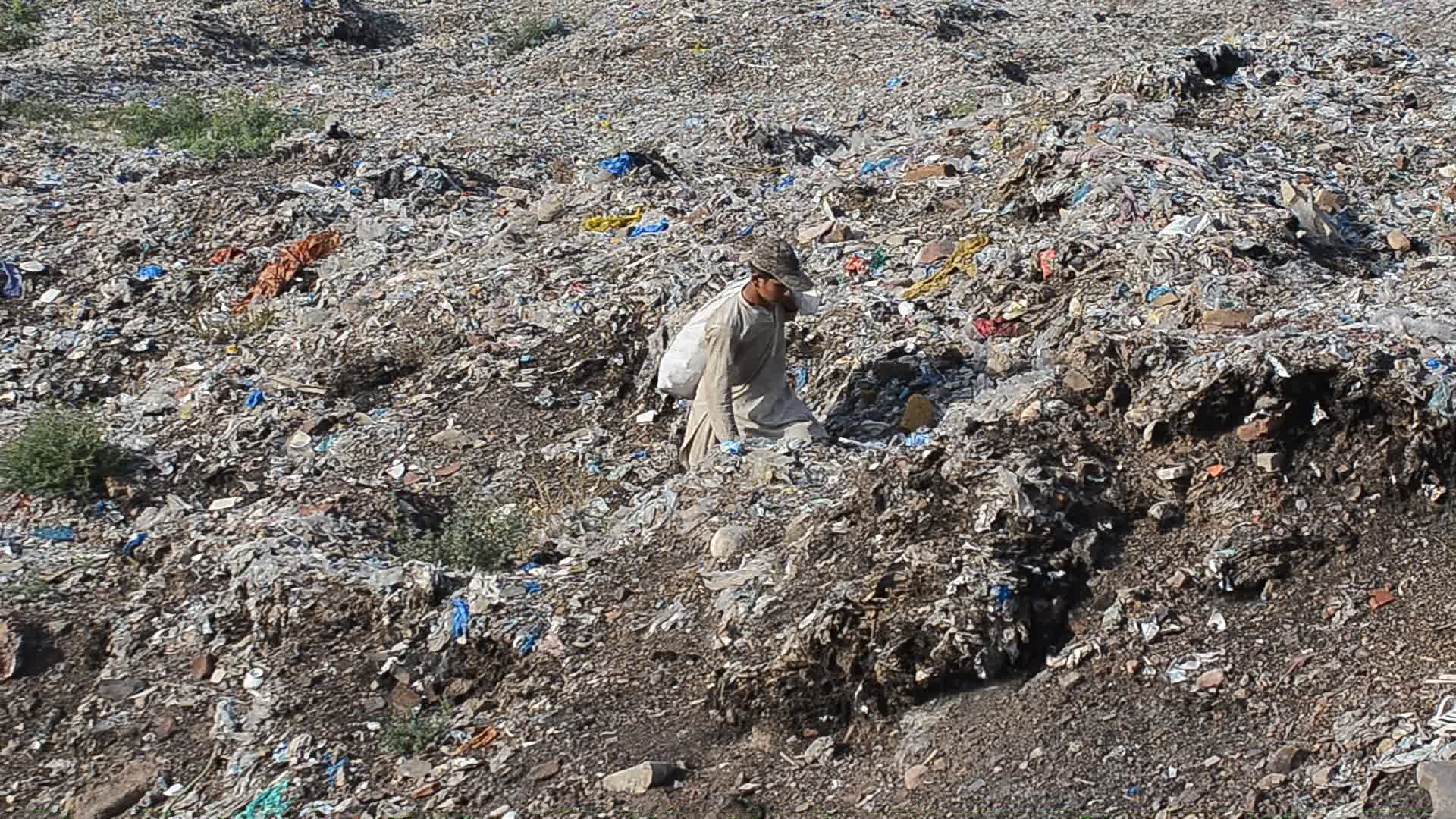 World Environment Day in Pakistan
