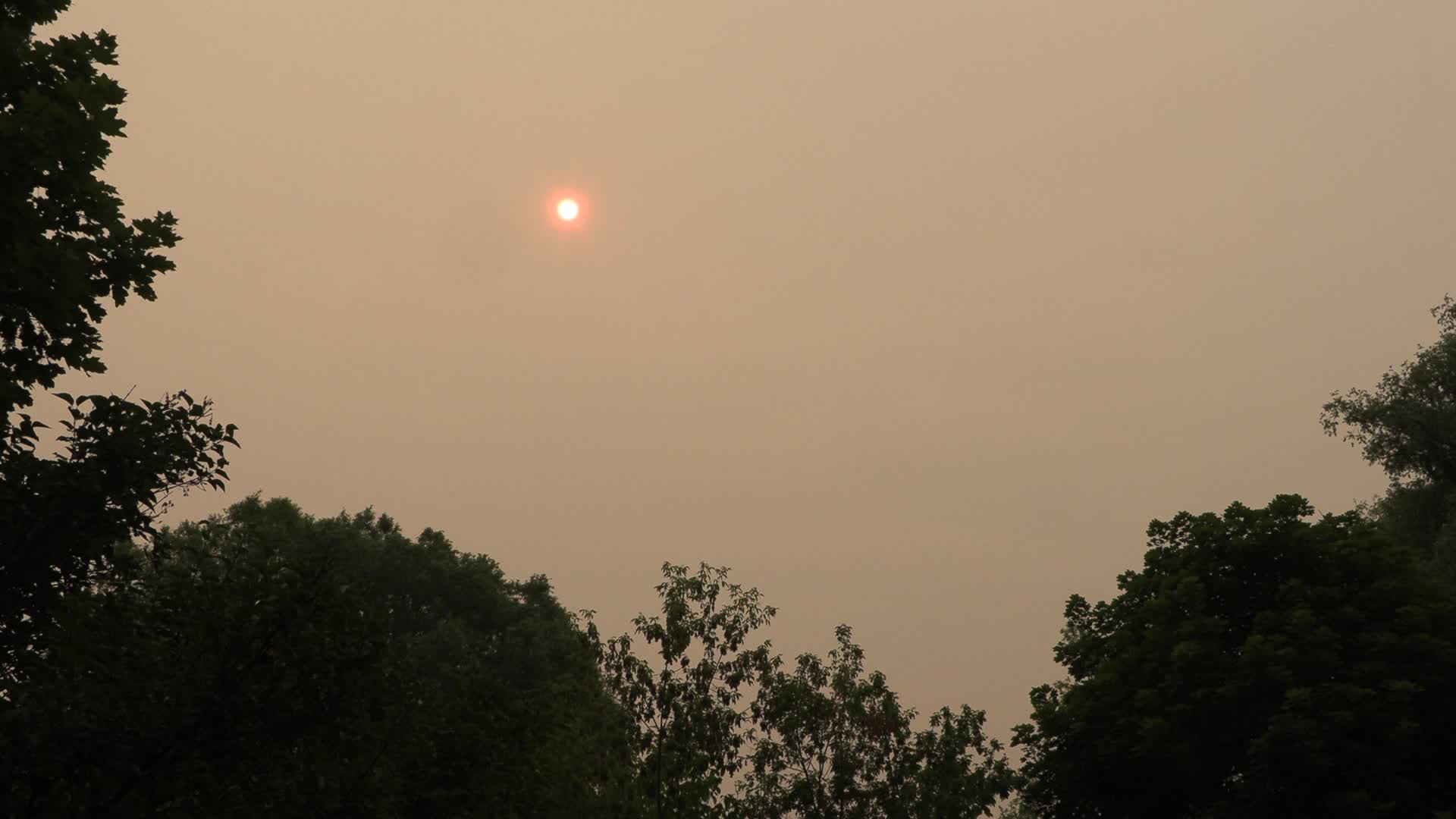 Wildfire Smoke Blots Sun and Prompts Health Alerts in Albany, NY