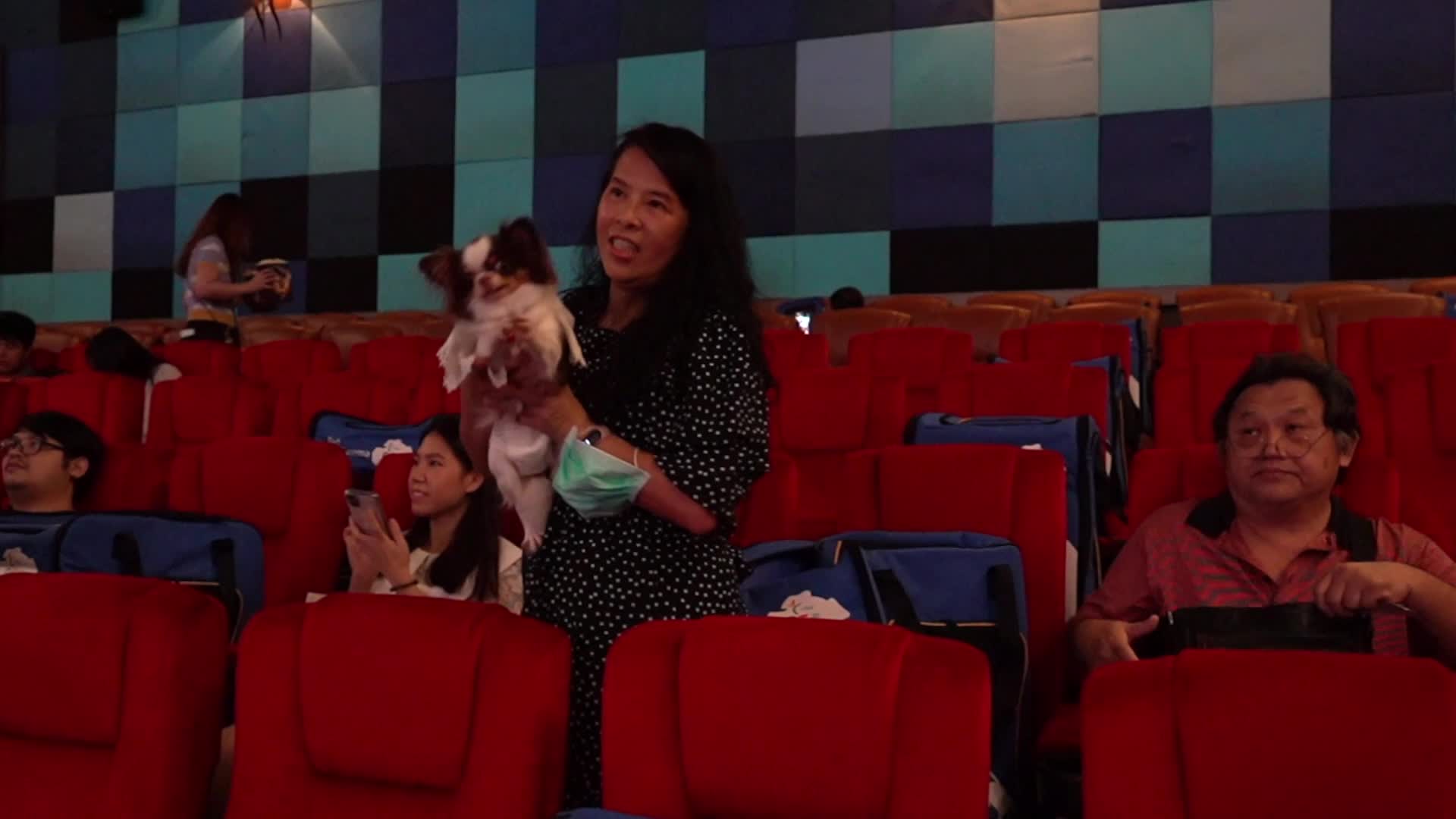Pet Friendly Movie Theatre in Thailand.