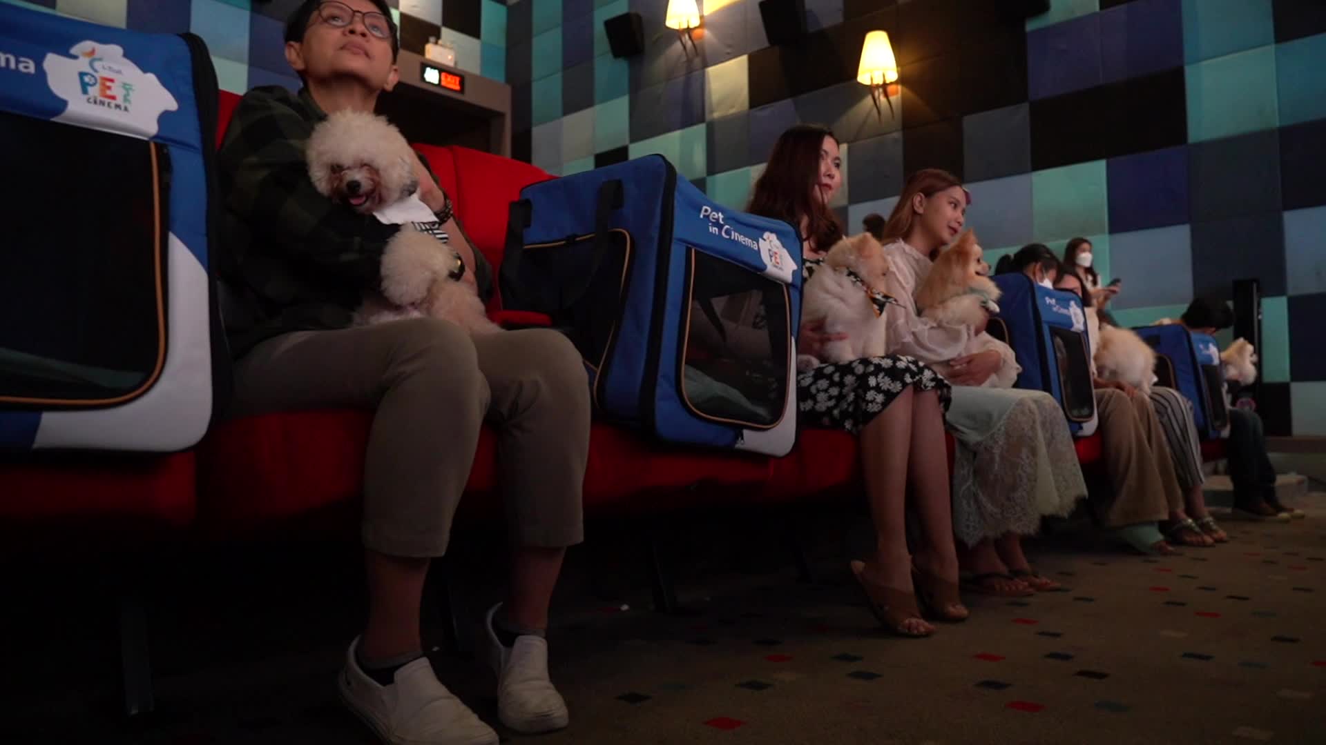 Pet Friendly Movie Theatre in Thailand.