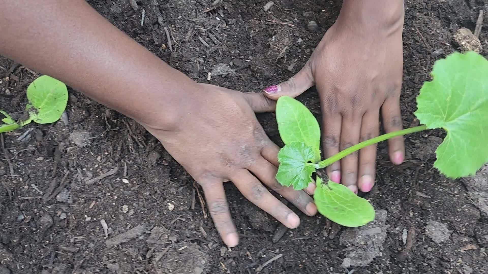 Gardening in Canada