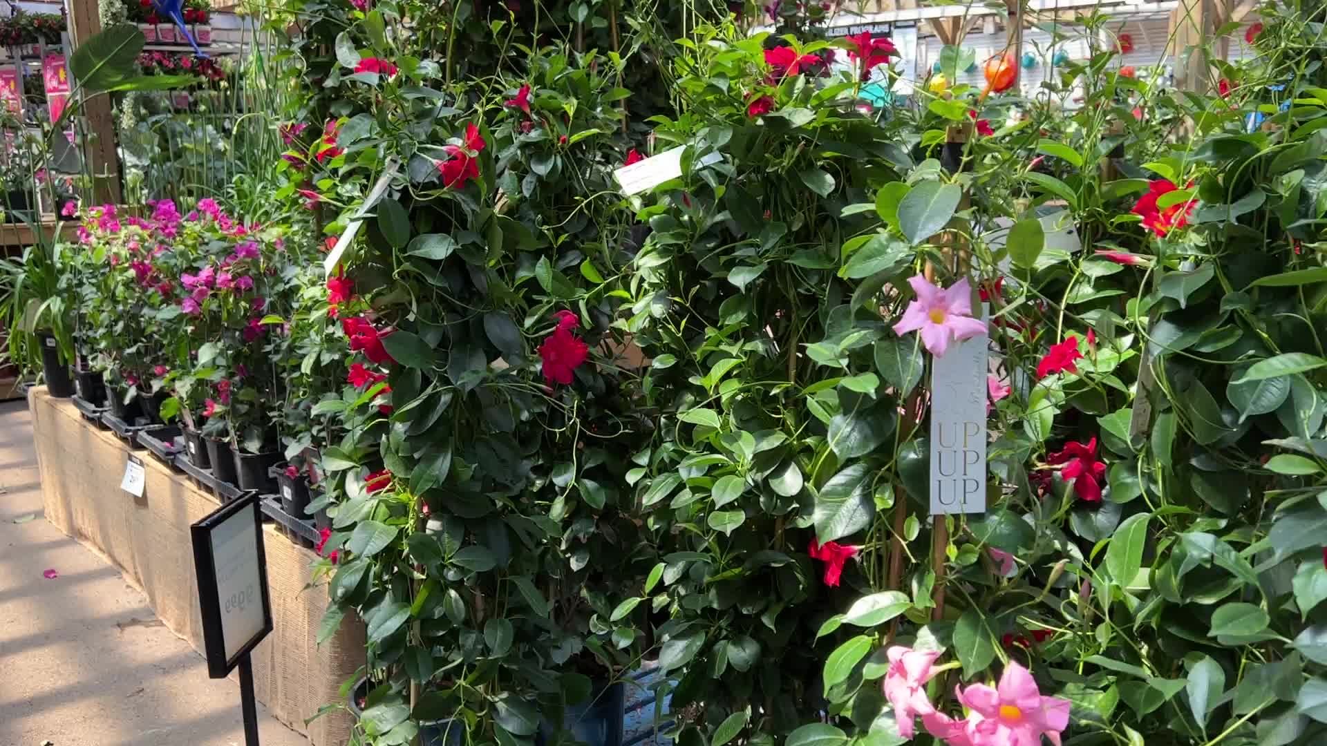 Gardening in Canada