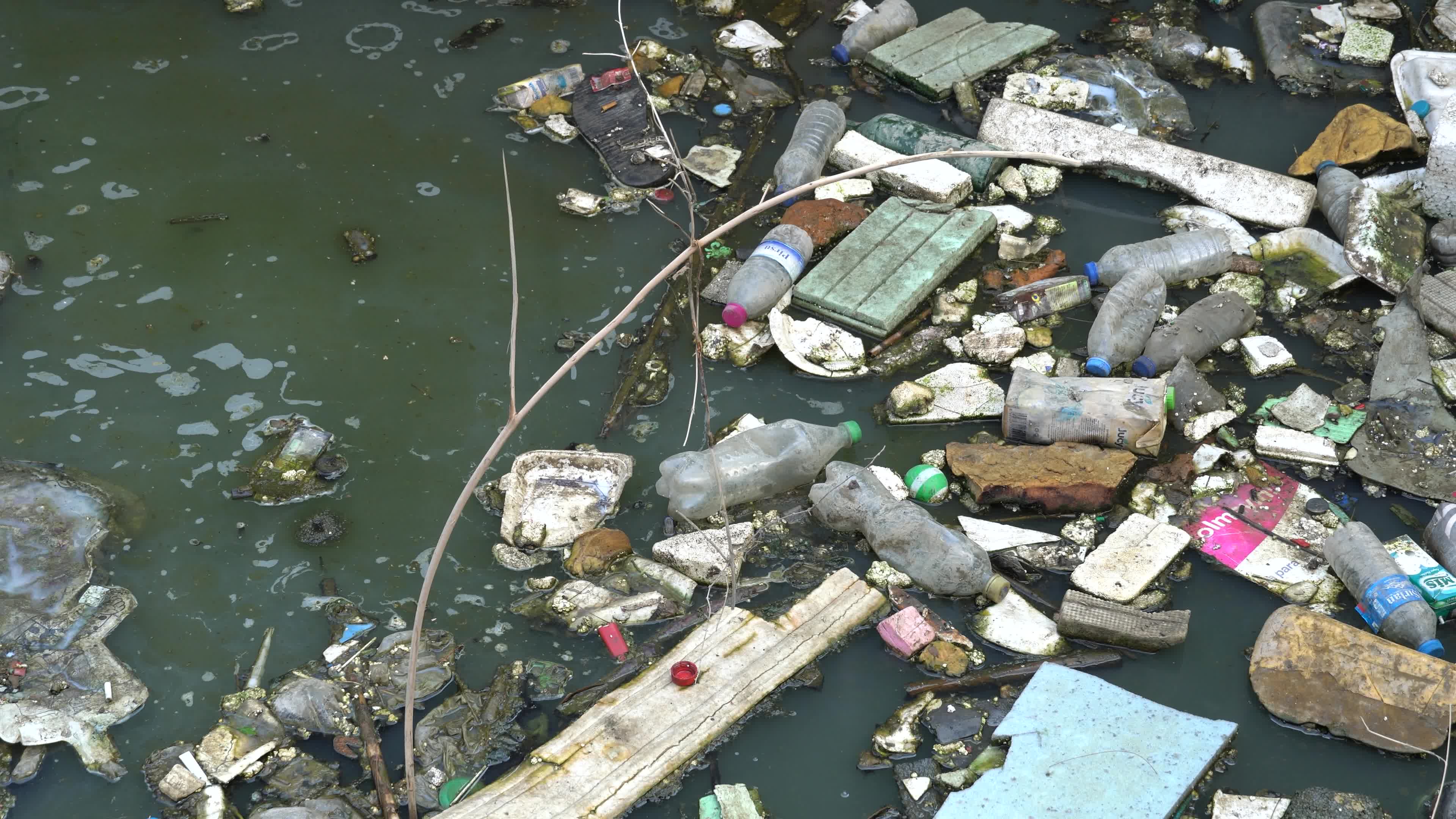 Environmental Pollution in Izmir
