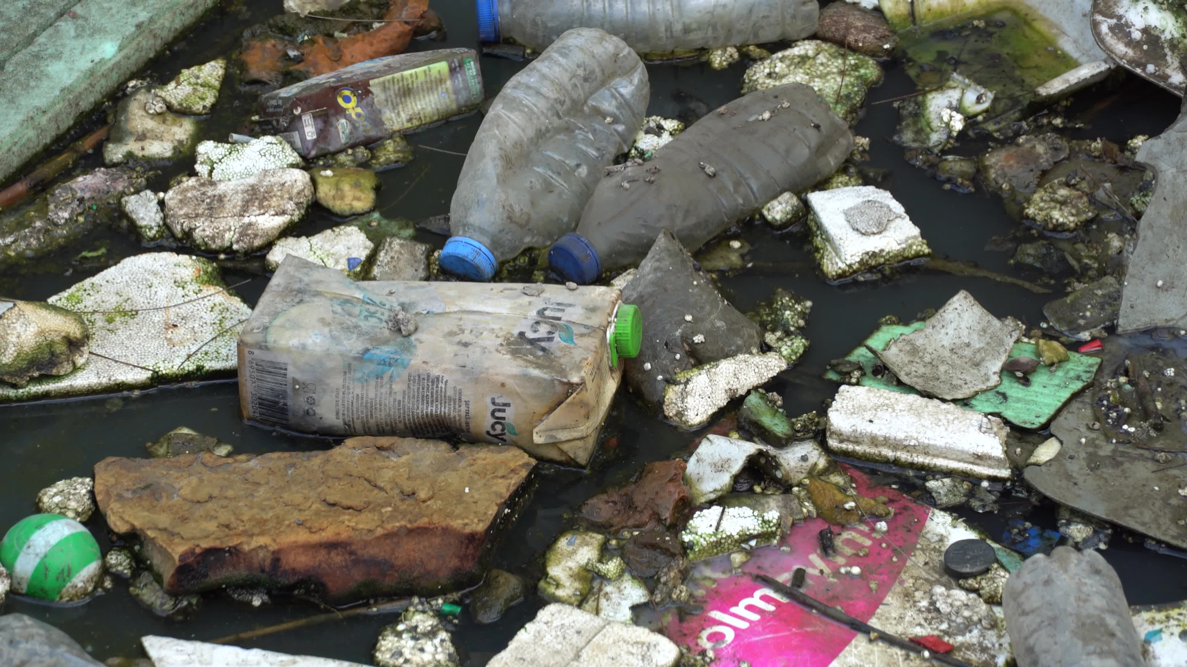 Environmental Pollution in Izmir
