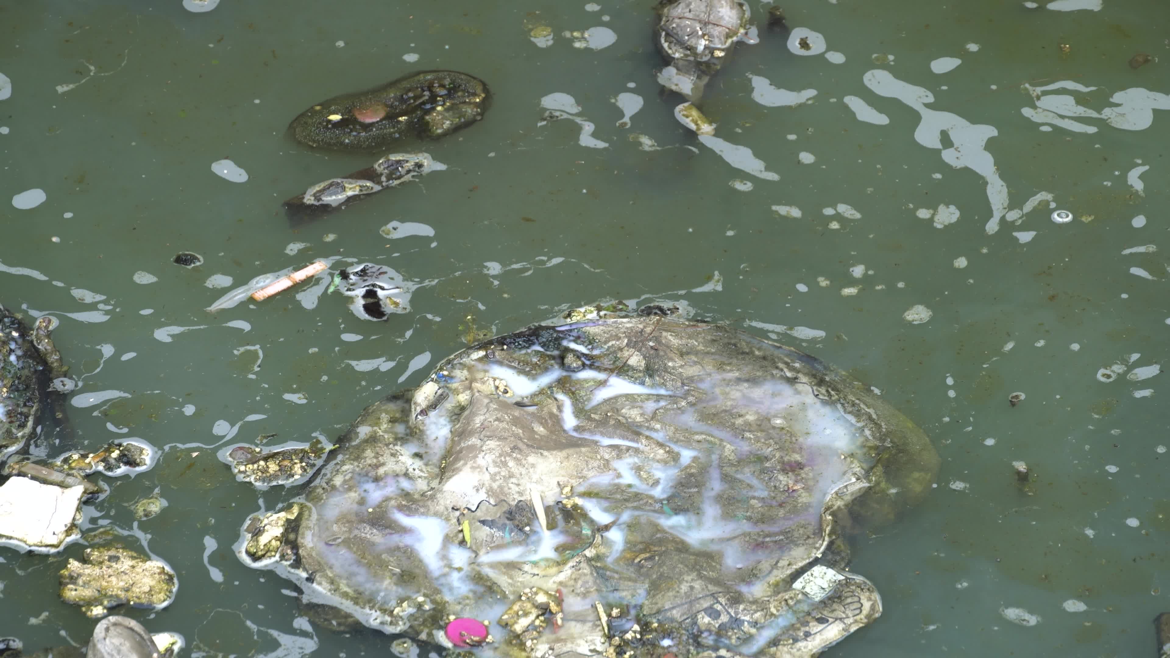 Environmental Pollution in Izmir
