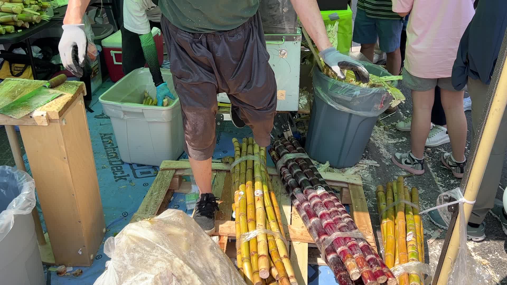 Unionville Festival