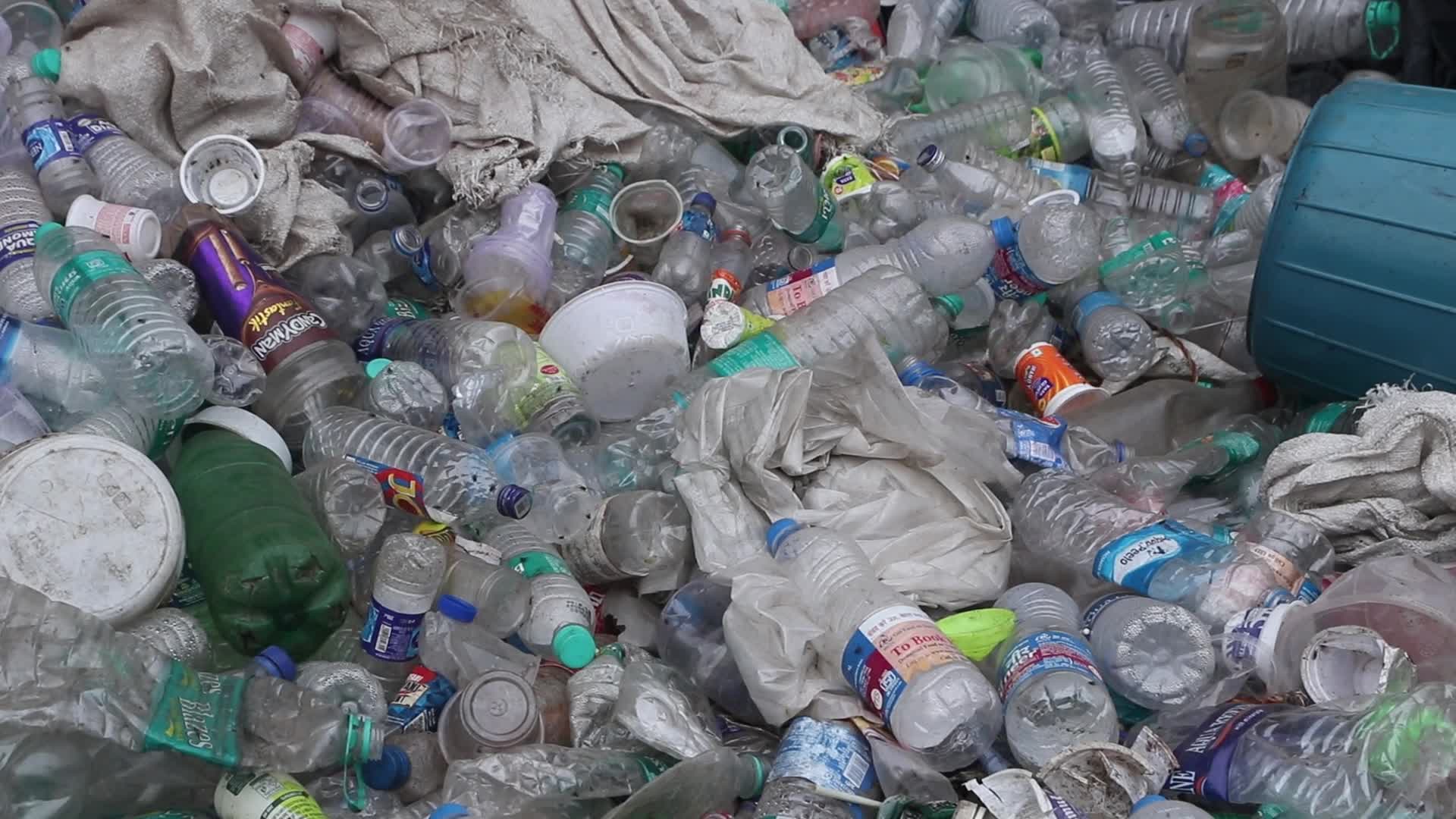 Environmental Issue In India