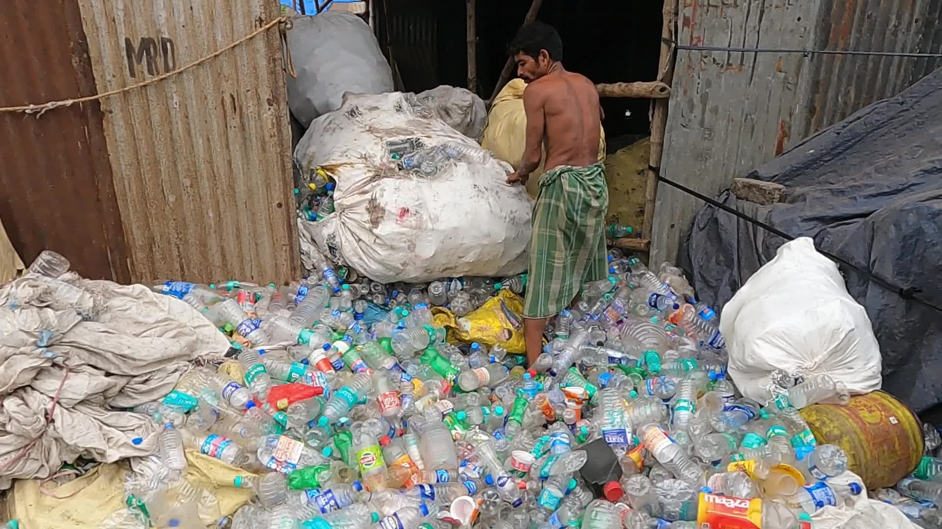 Environmental Issue In India