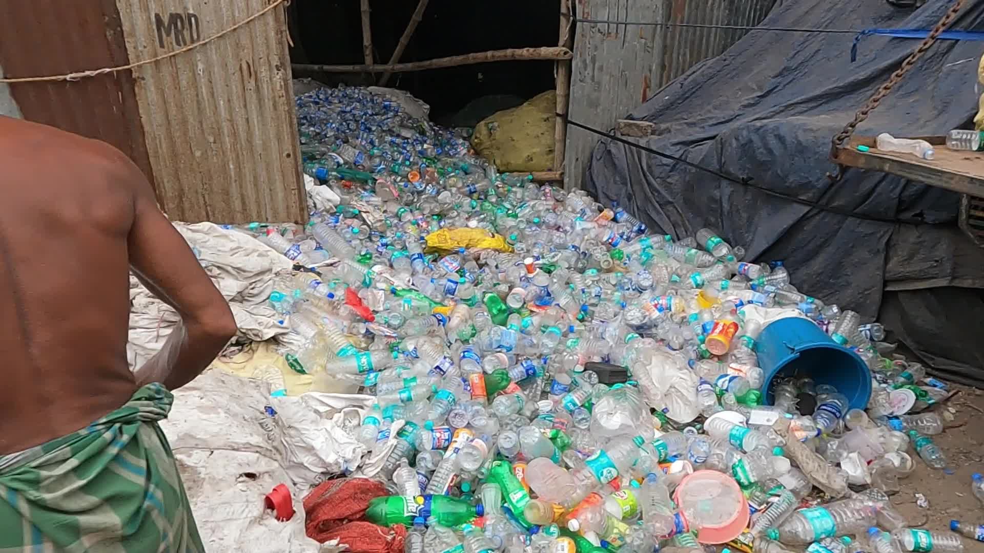 Environmental Issue In India