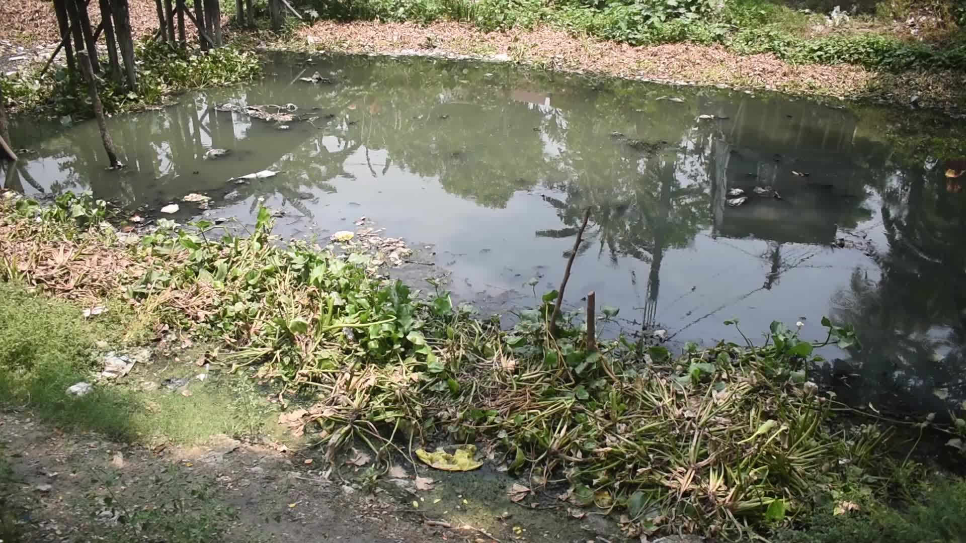 Heatwave Continues In Kolkata, India