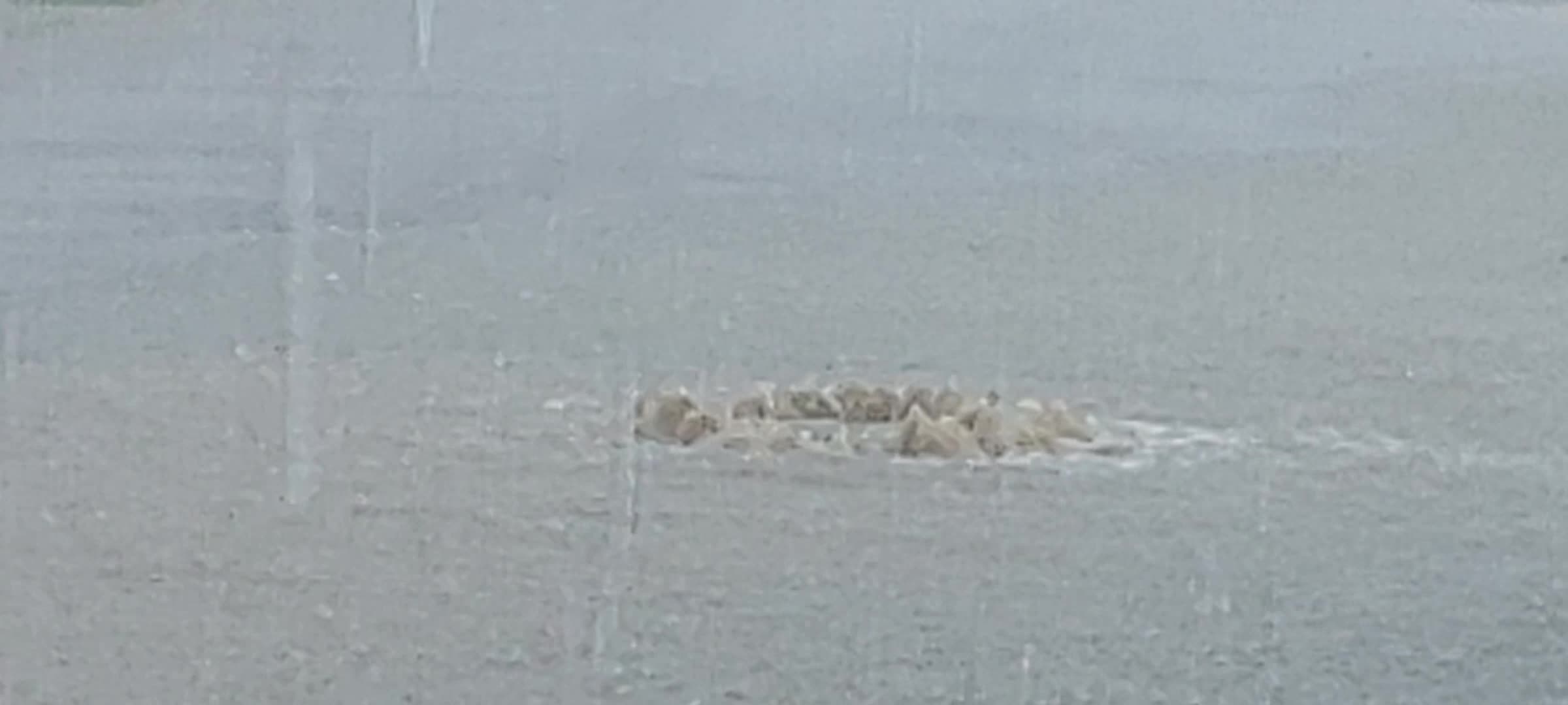 Cyclone Biparjoy In Ajmer, India