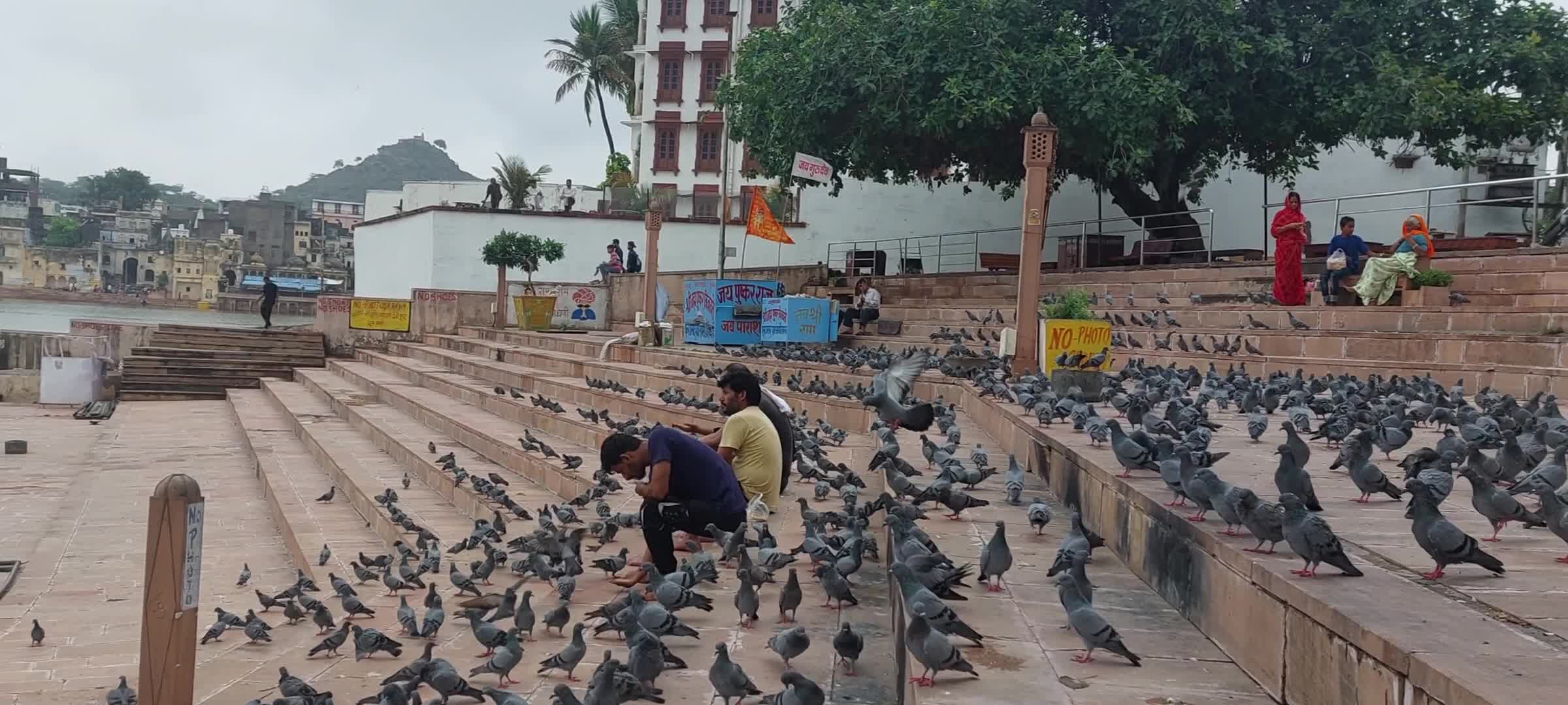 Biparjoy cyclone hit in Pushkar, India