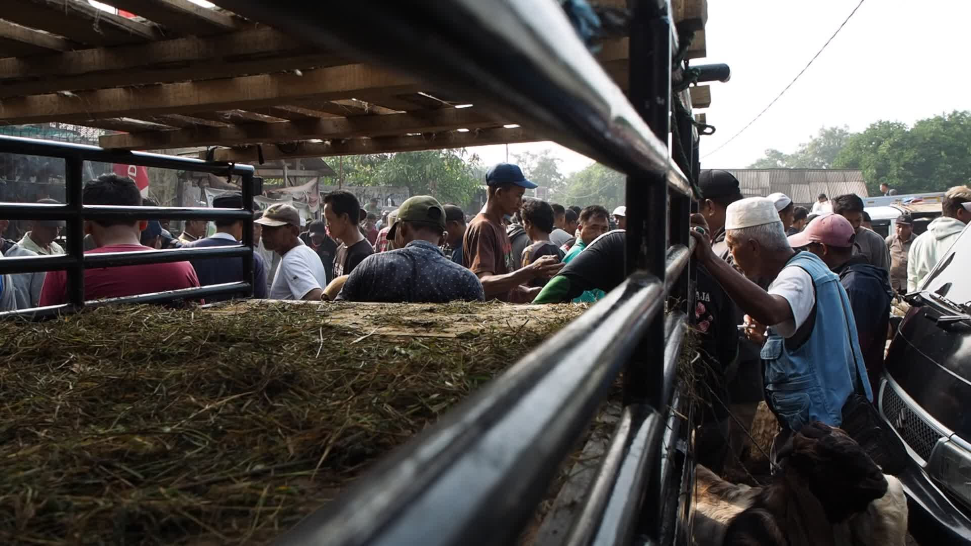 Indonesia: Livestock Market ahead Eid Al-Adha
