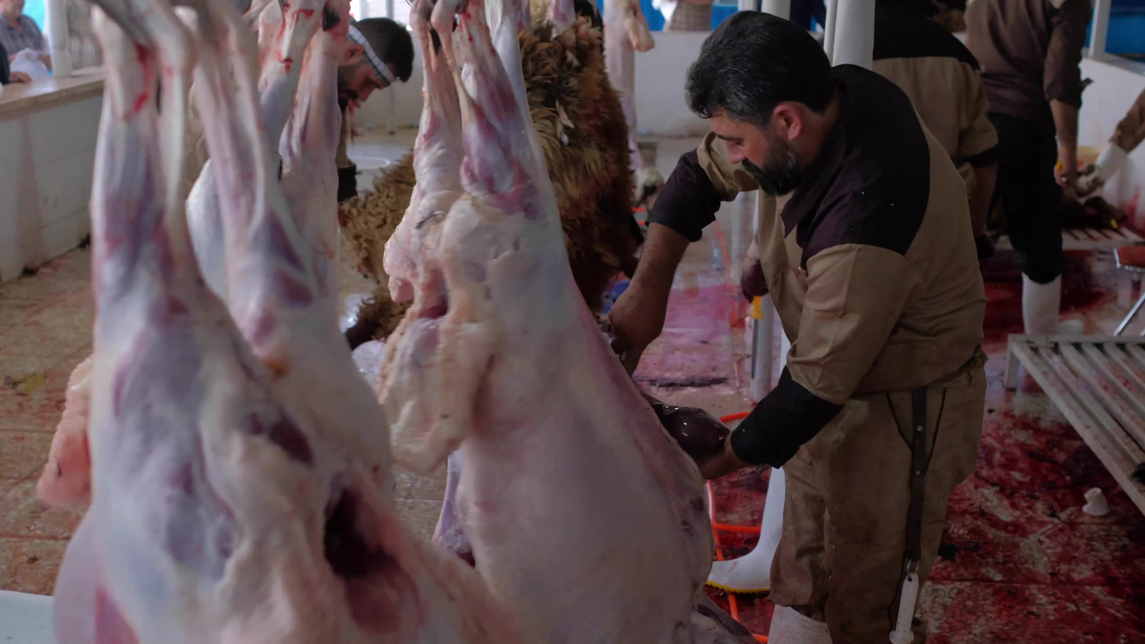 Iranian Muslims marked Eid al-Adha in Iran