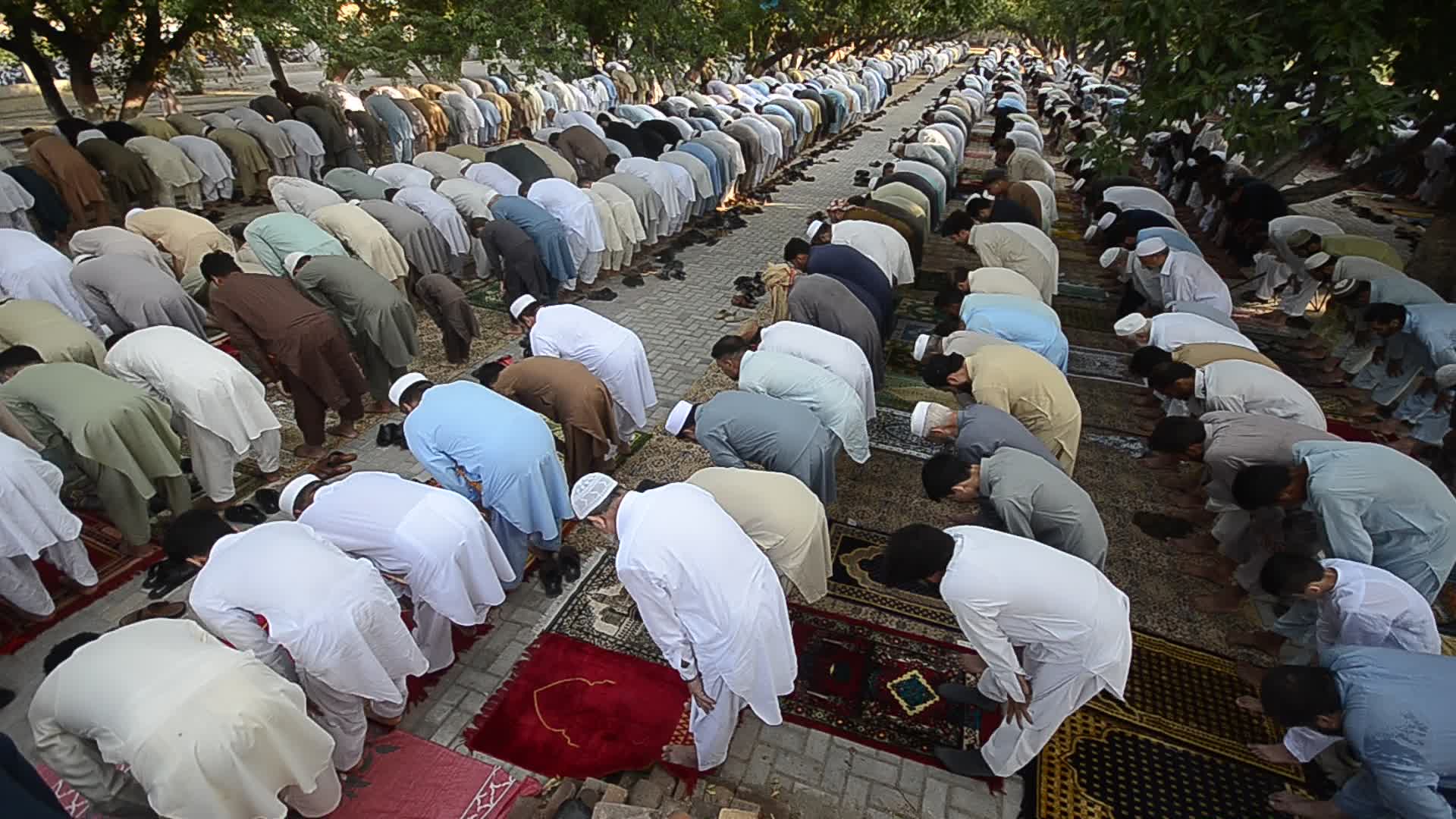  Eid Al-Adha In Peshawar, Pakistan 