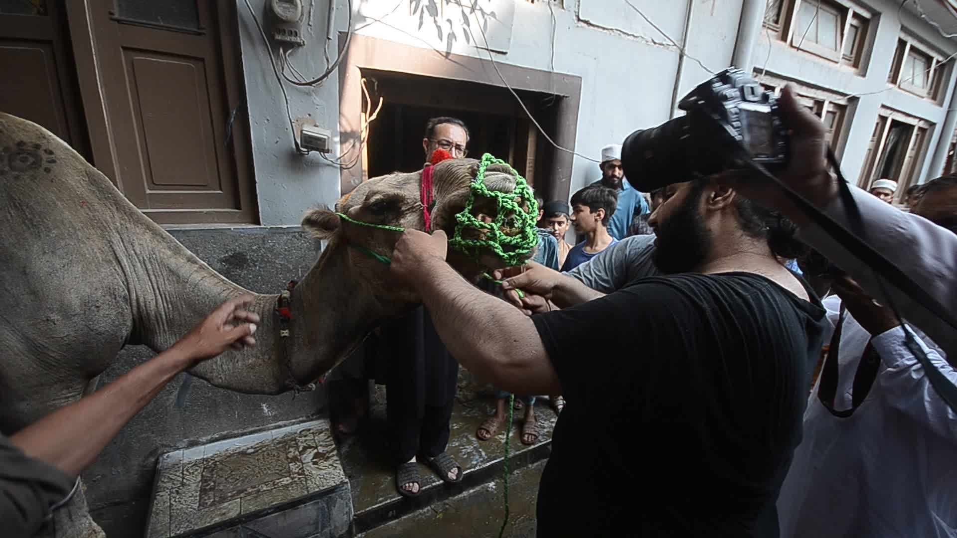 Eid al-Adha festival in Pakistan