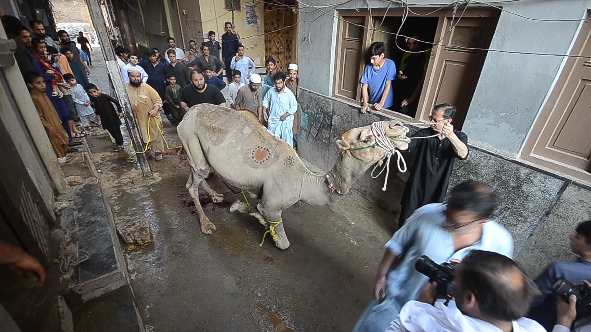 Eid al-Adha festival in Pakistan