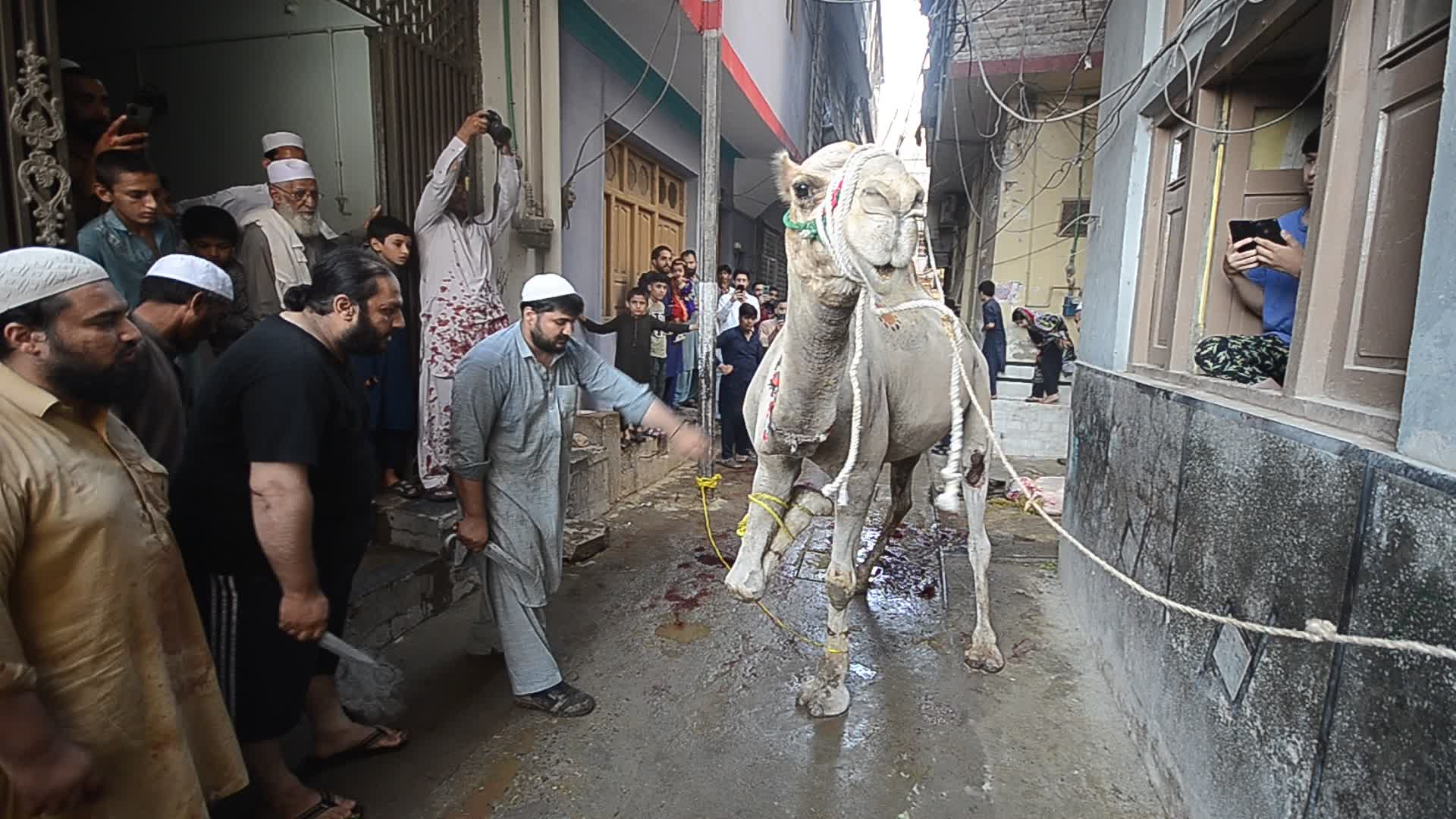 Eid al-Adha festival in Pakistan