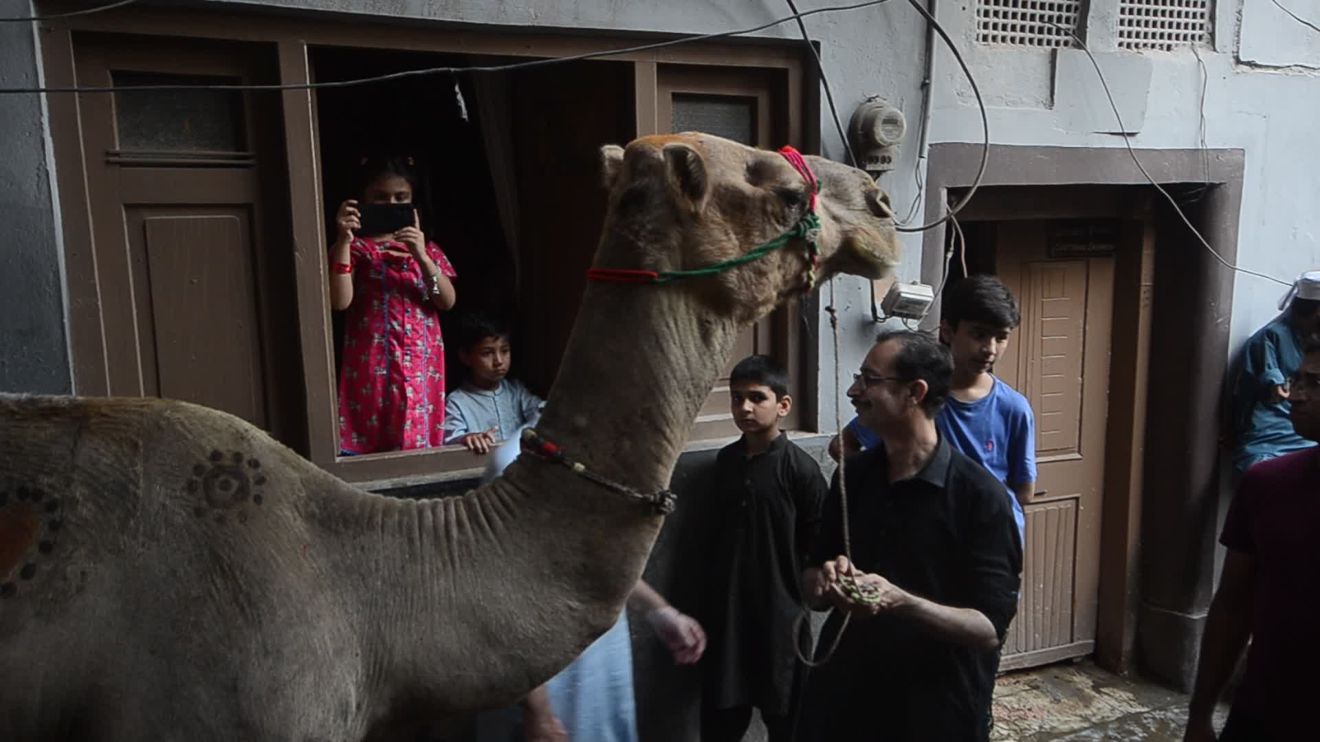 Eid al-Adha festival in Pakistan
