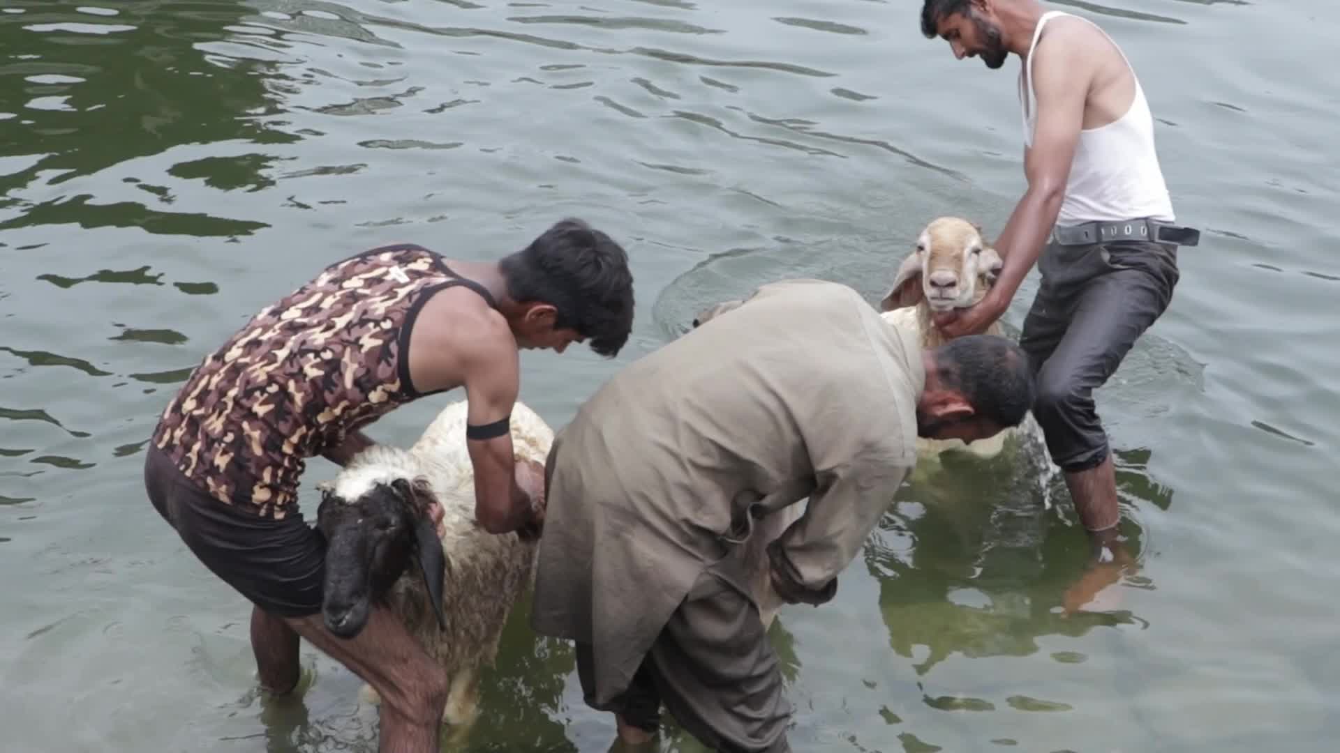 Eid Al-Adha 2023 in Kashmir