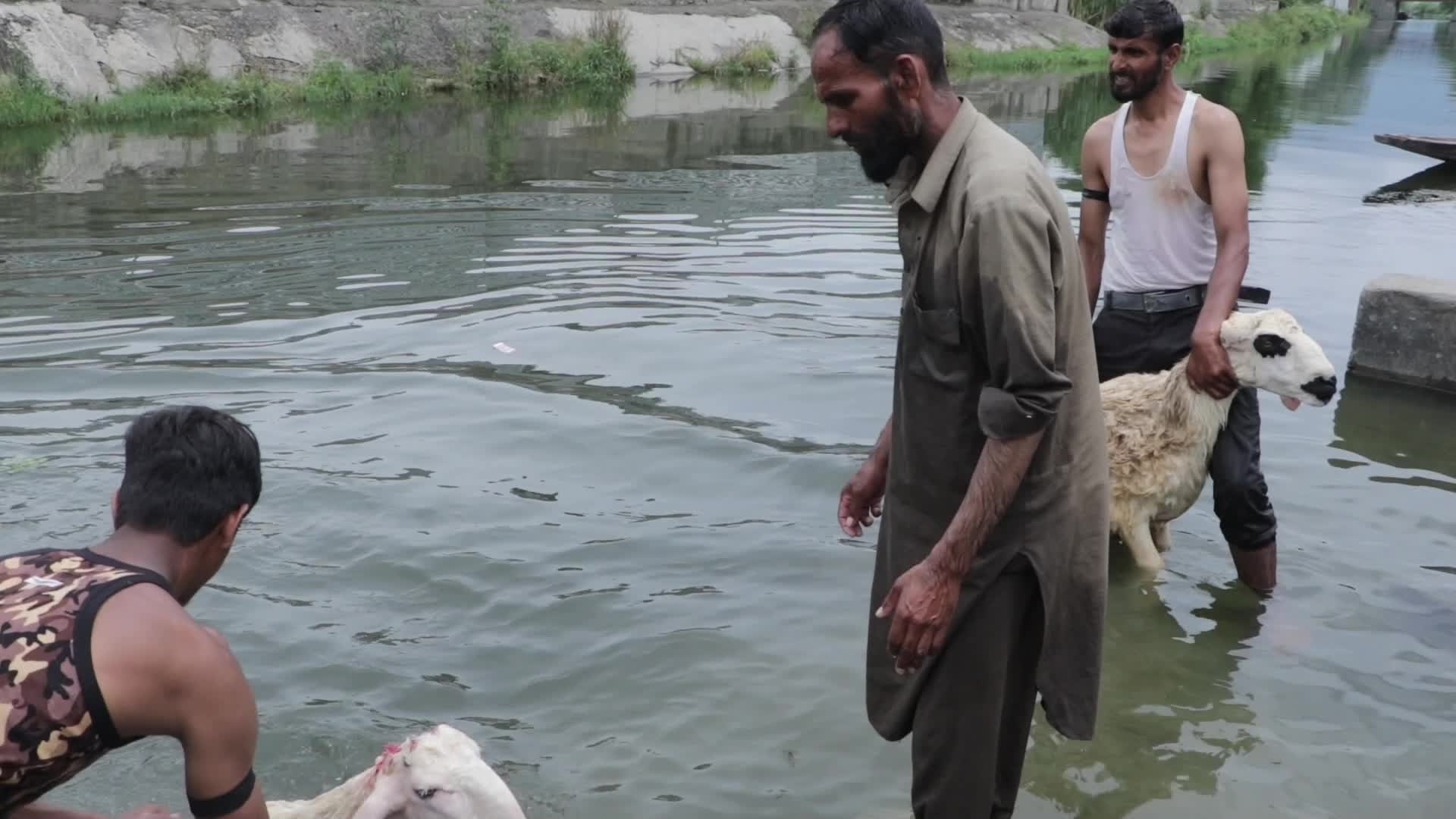 Eid Al-Adha 2023 in Kashmir