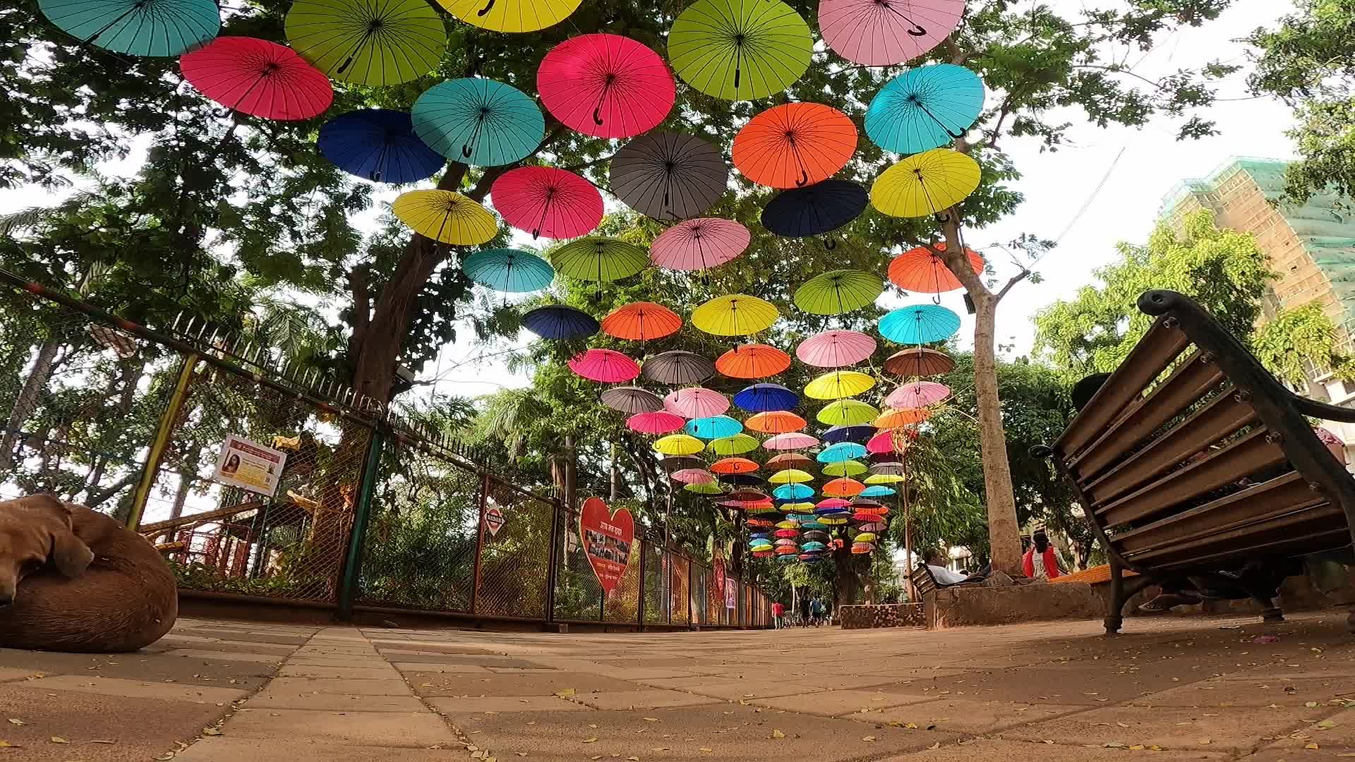 Daily Life In Mumbai